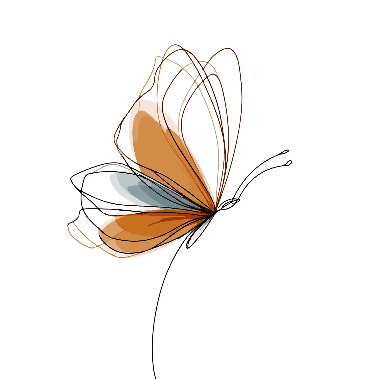 Abstract Butterfly Line Art — free download from Dotvec