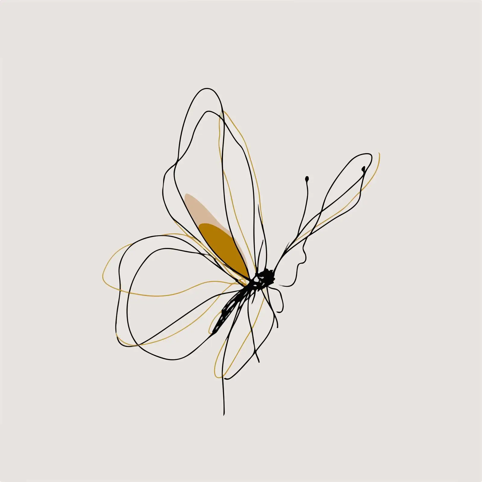 Butterfly Line Art Illustration — free download from Dotvec