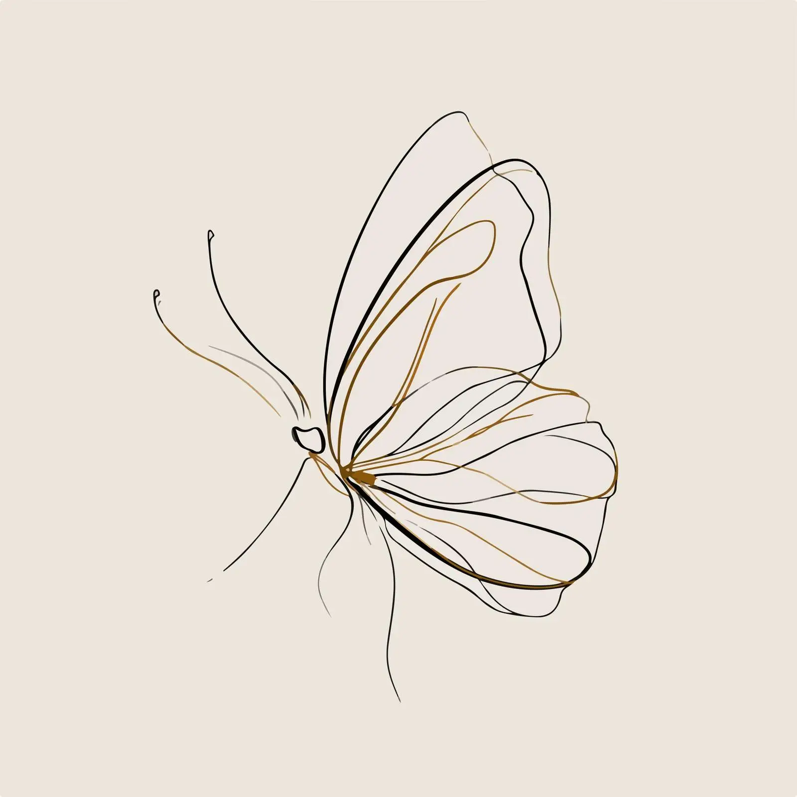 Abstract Butterfly Line Art — free download from Dotvec