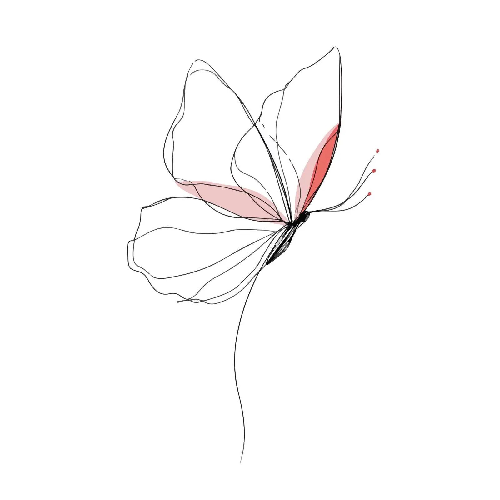 Butterfly Line Art Flowing Abstract — free download from Dotvec