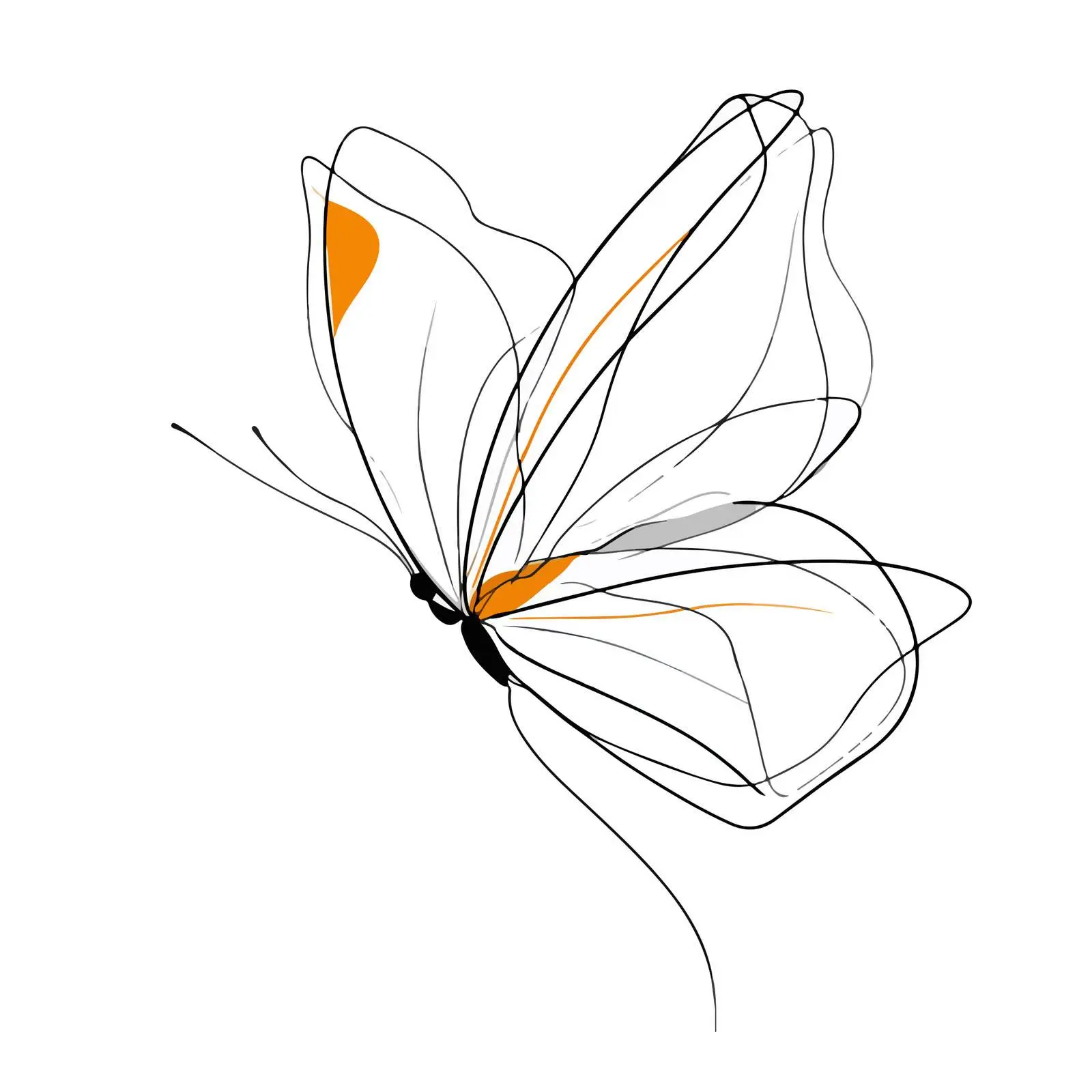Abstract Butterfly Line Art — free download from Dotvec