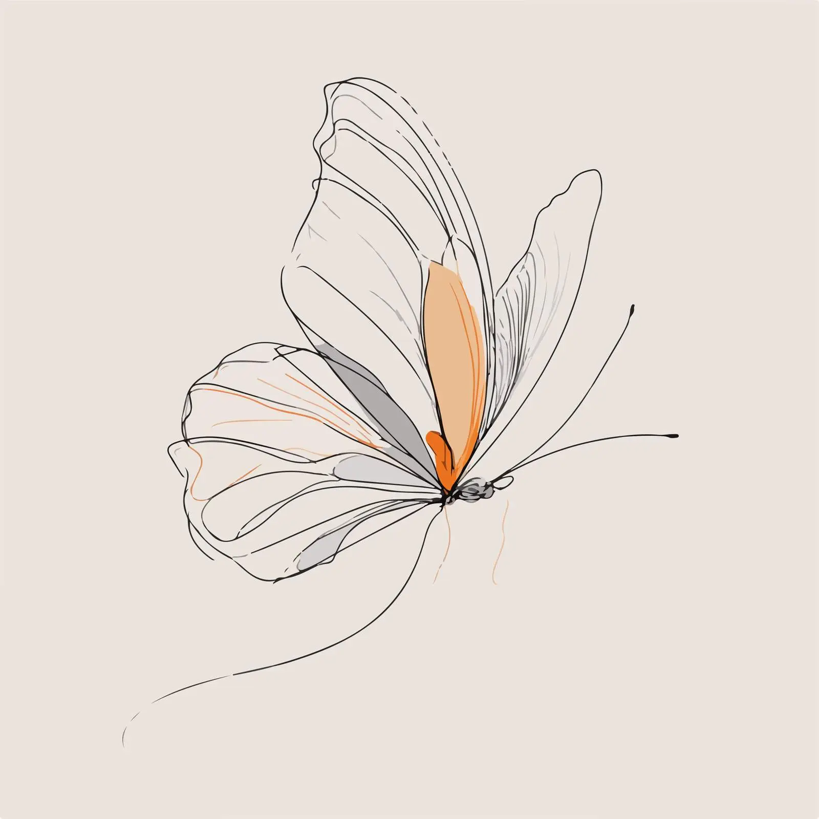 Butterfly Abstract Line Art — free download from Dotvec