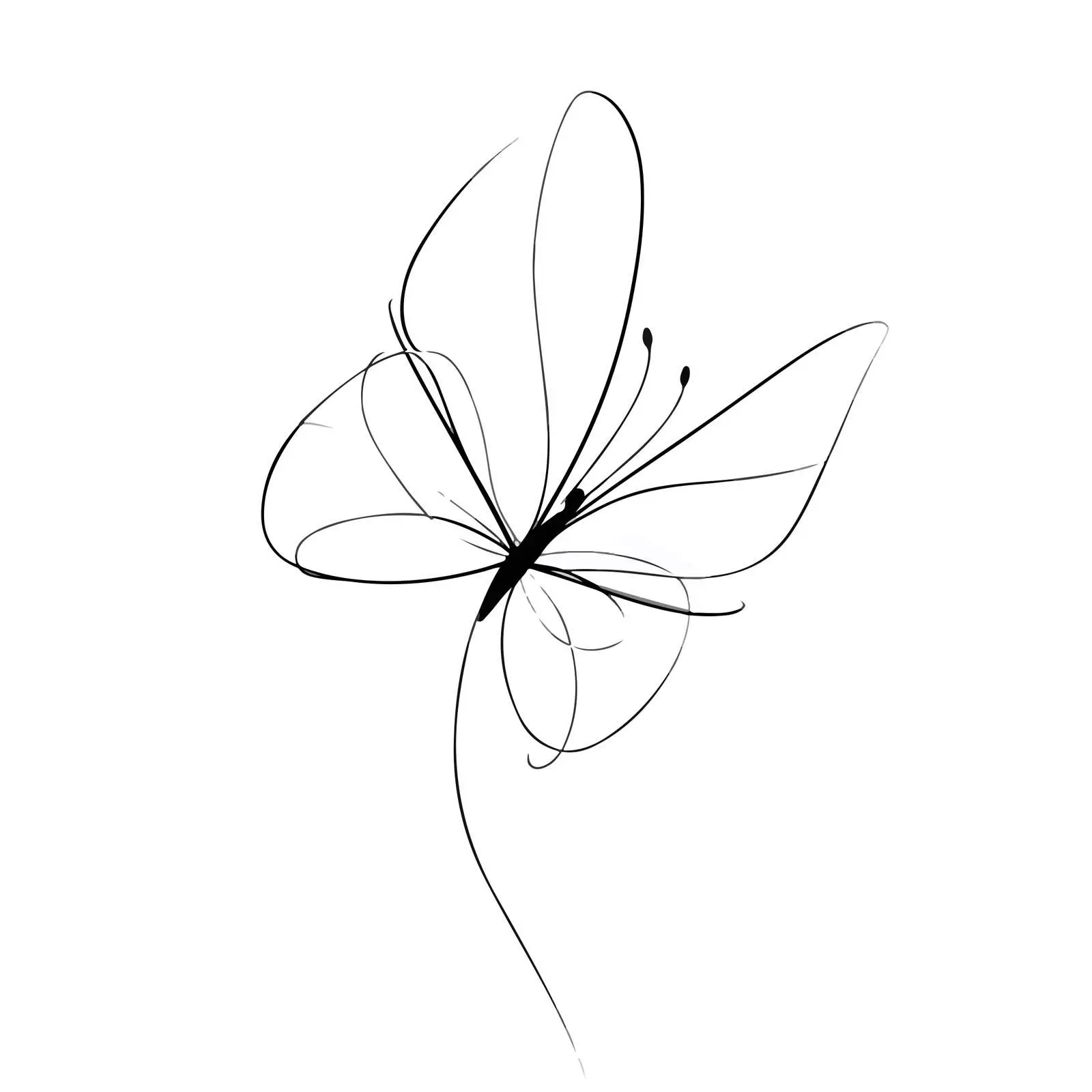 Butterfly Abstract Line Flowing Art — free download from Dotvec