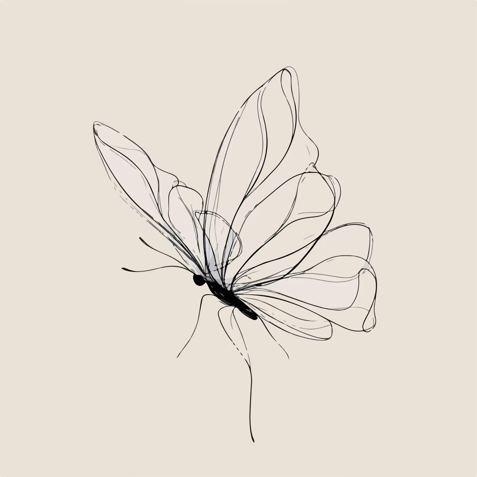 Butterfly Line Art Flowing Abstract — free download from Dotvec
