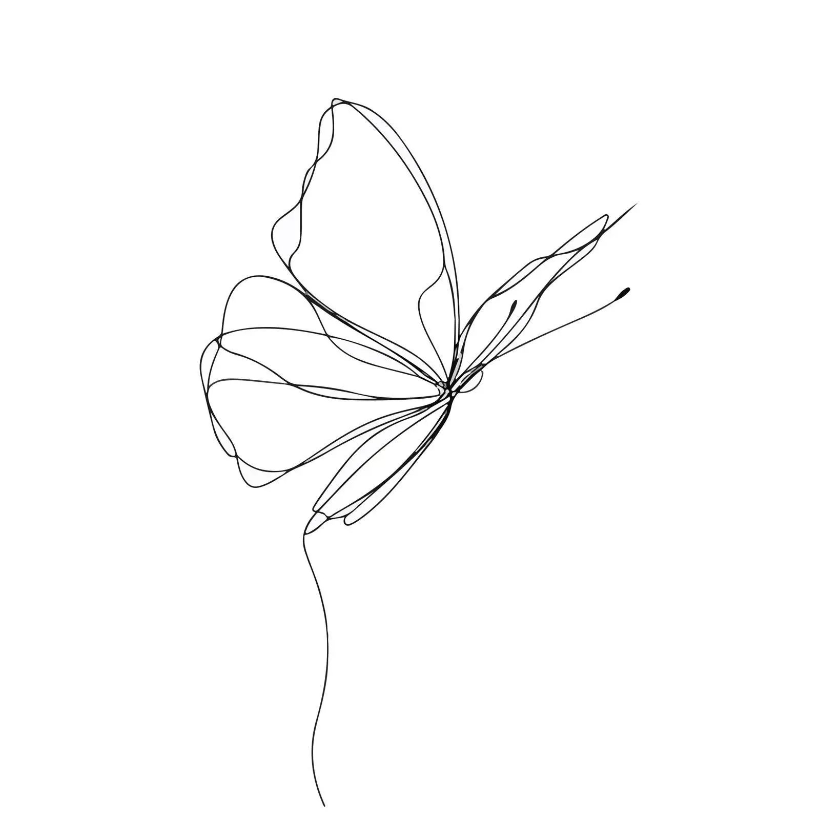 Butterfly Continuous Line Art — free download from Dotvec