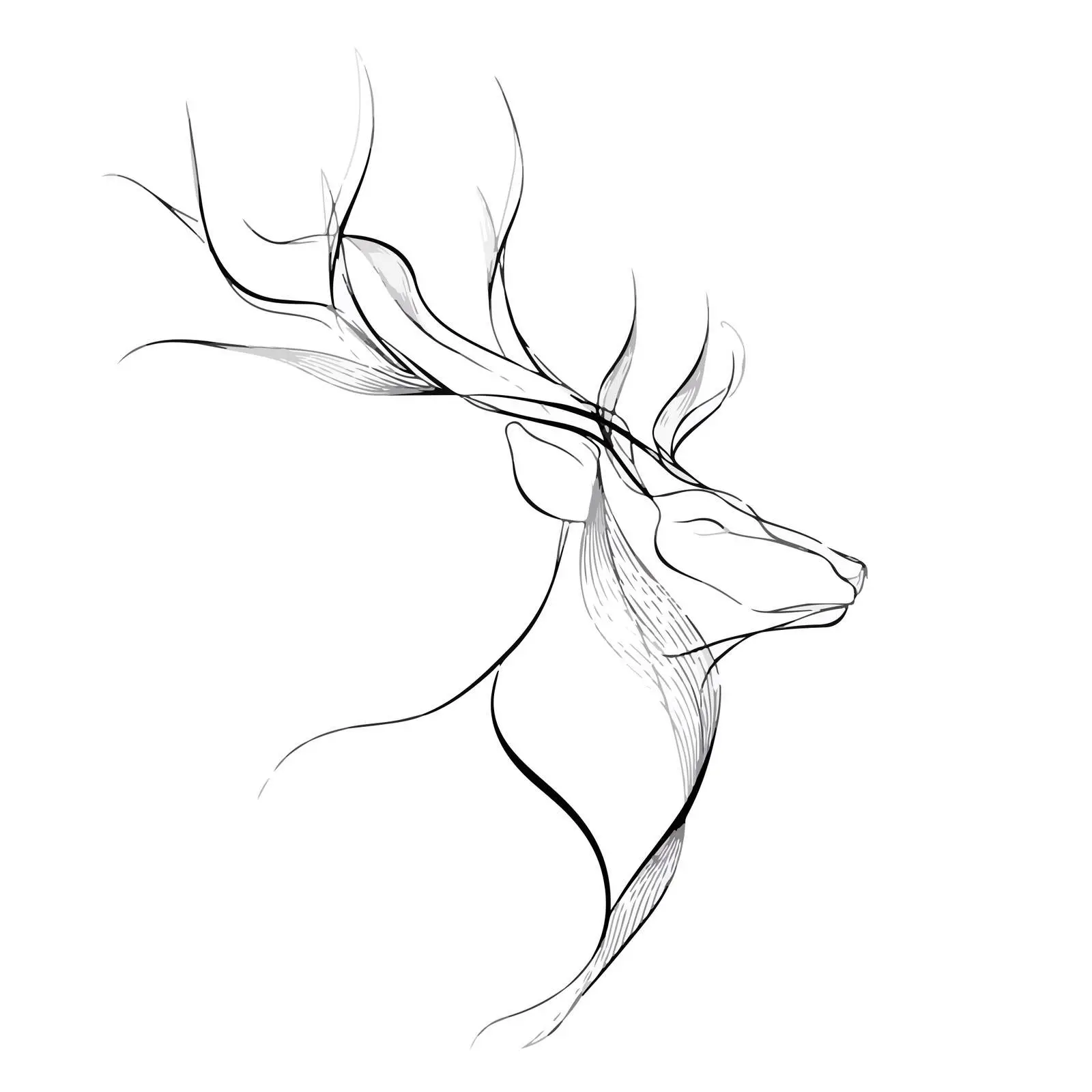 Deer Head Continuous Line Art — free download from Dotvec