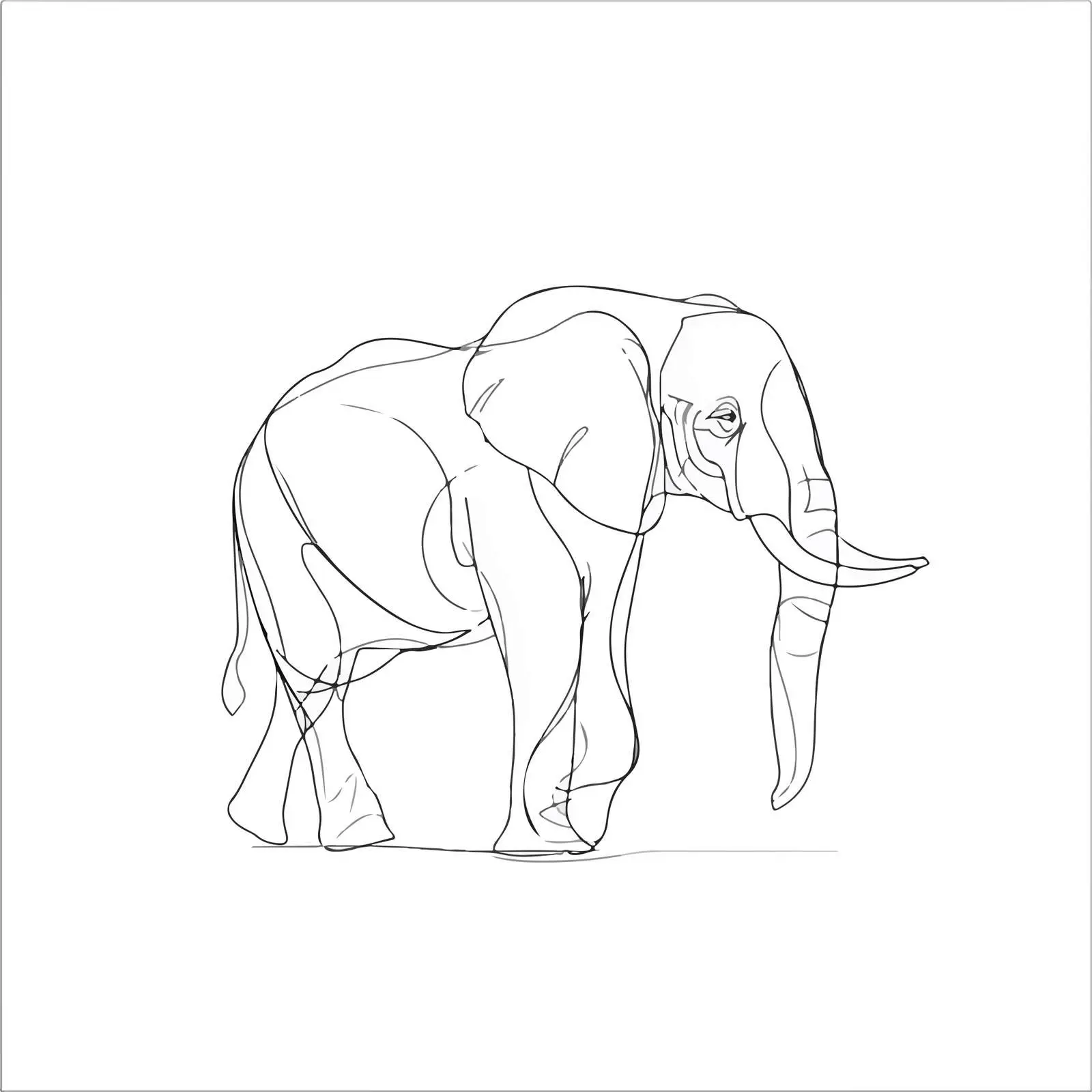 Elephant Line Art Illustration — free download from Dotvec