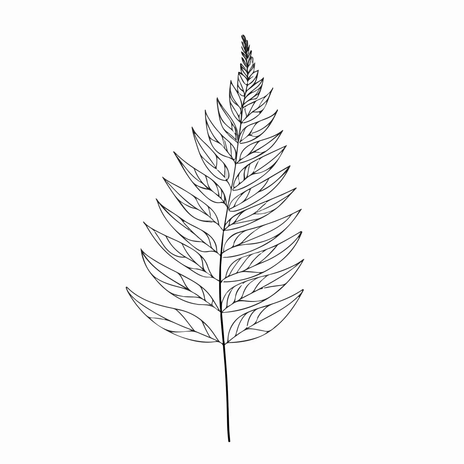 Fern Leaf Line Art Vector — free download from Dotvec