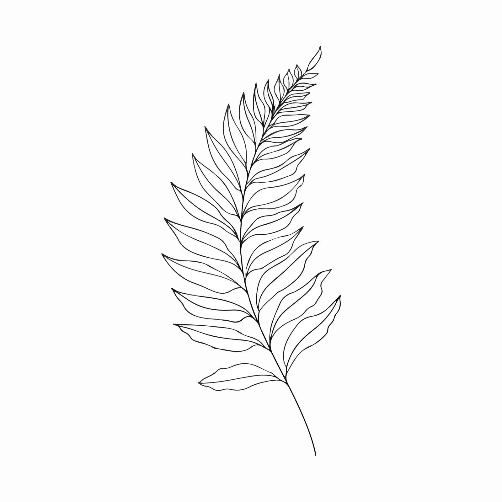 Elegant Fern Leaf Line Art Vector — free download from Dotvec
