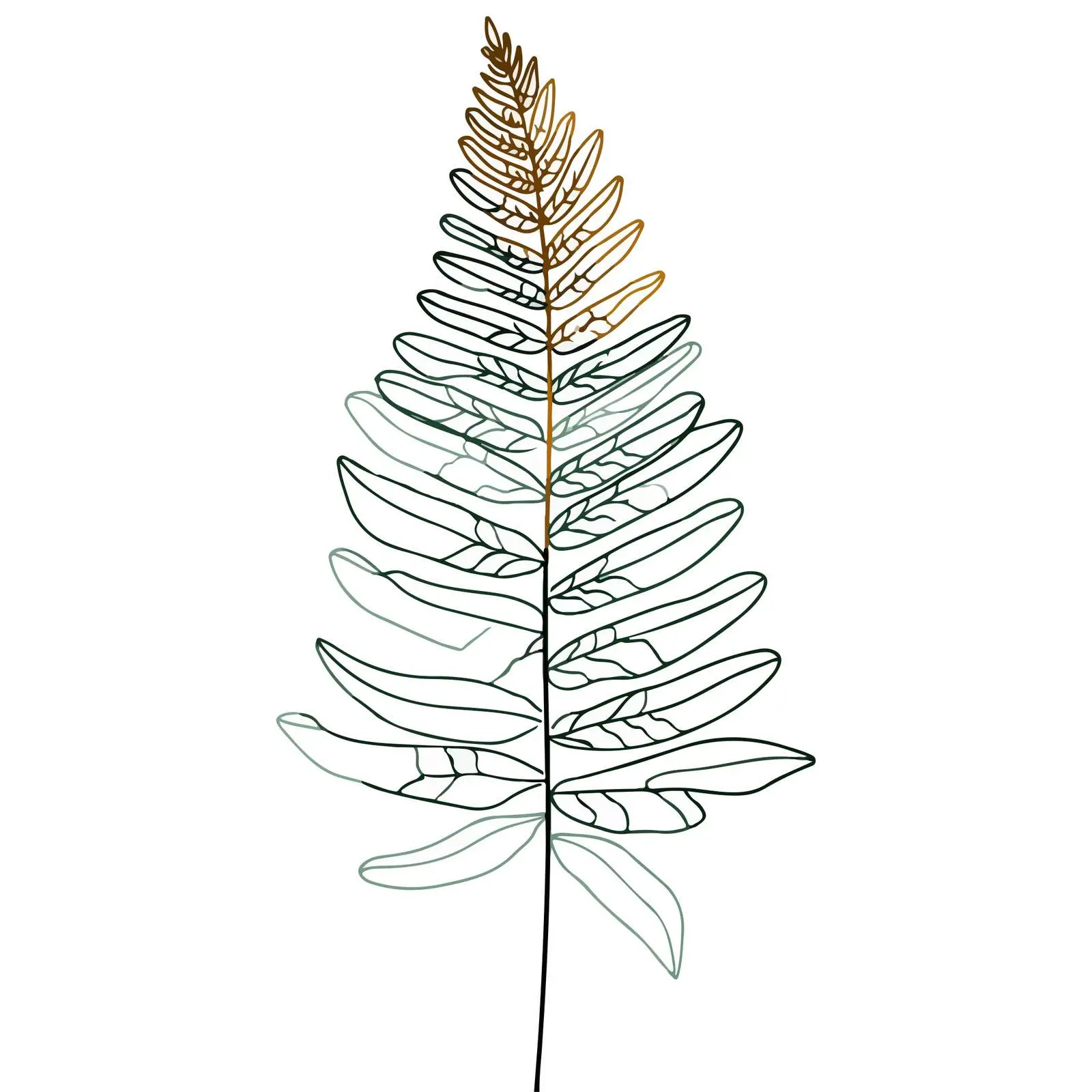 Fern Leaf Line Art Illustration — free download from Dotvec