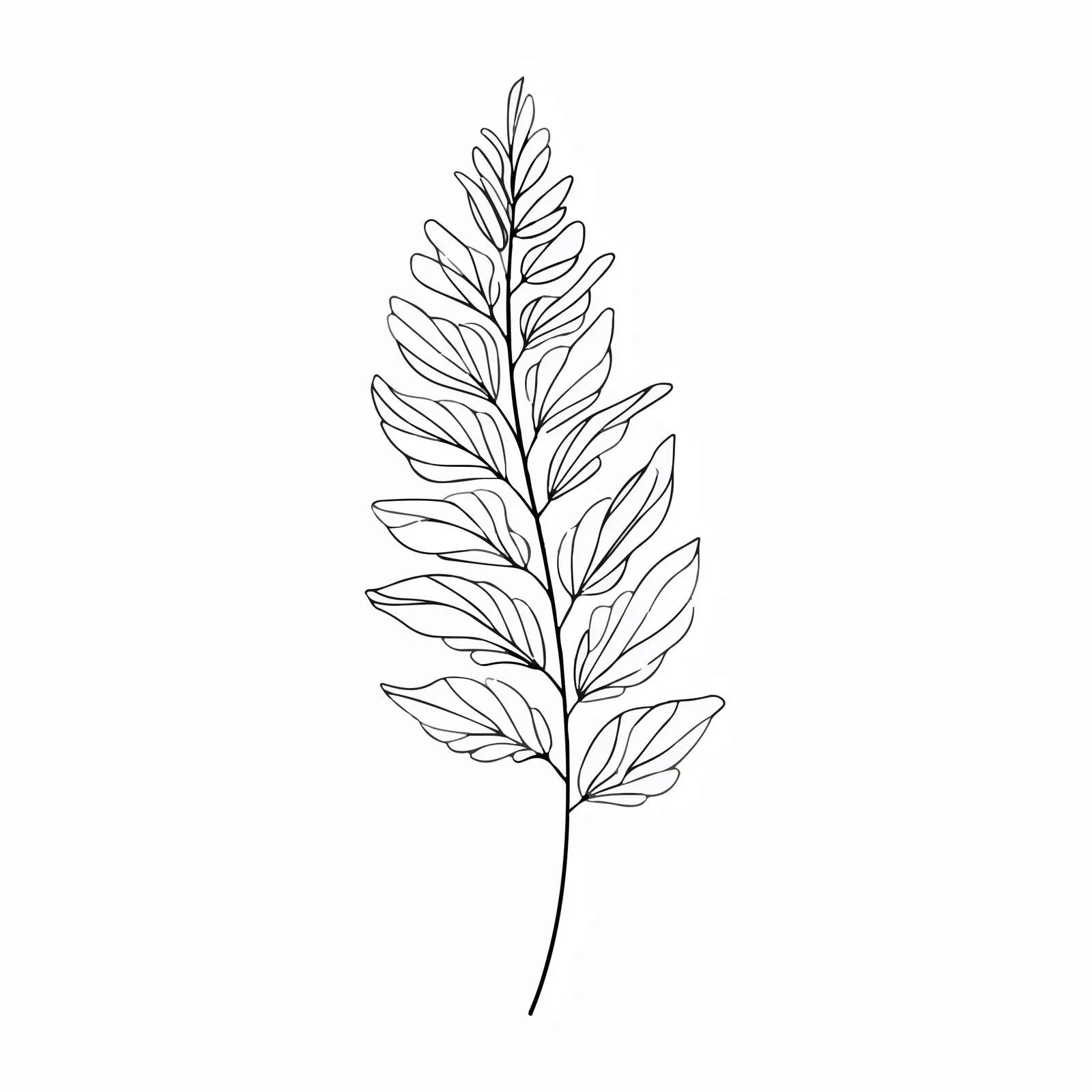 Elegant Fern Leaf Line Art Vector — free download from Dotvec