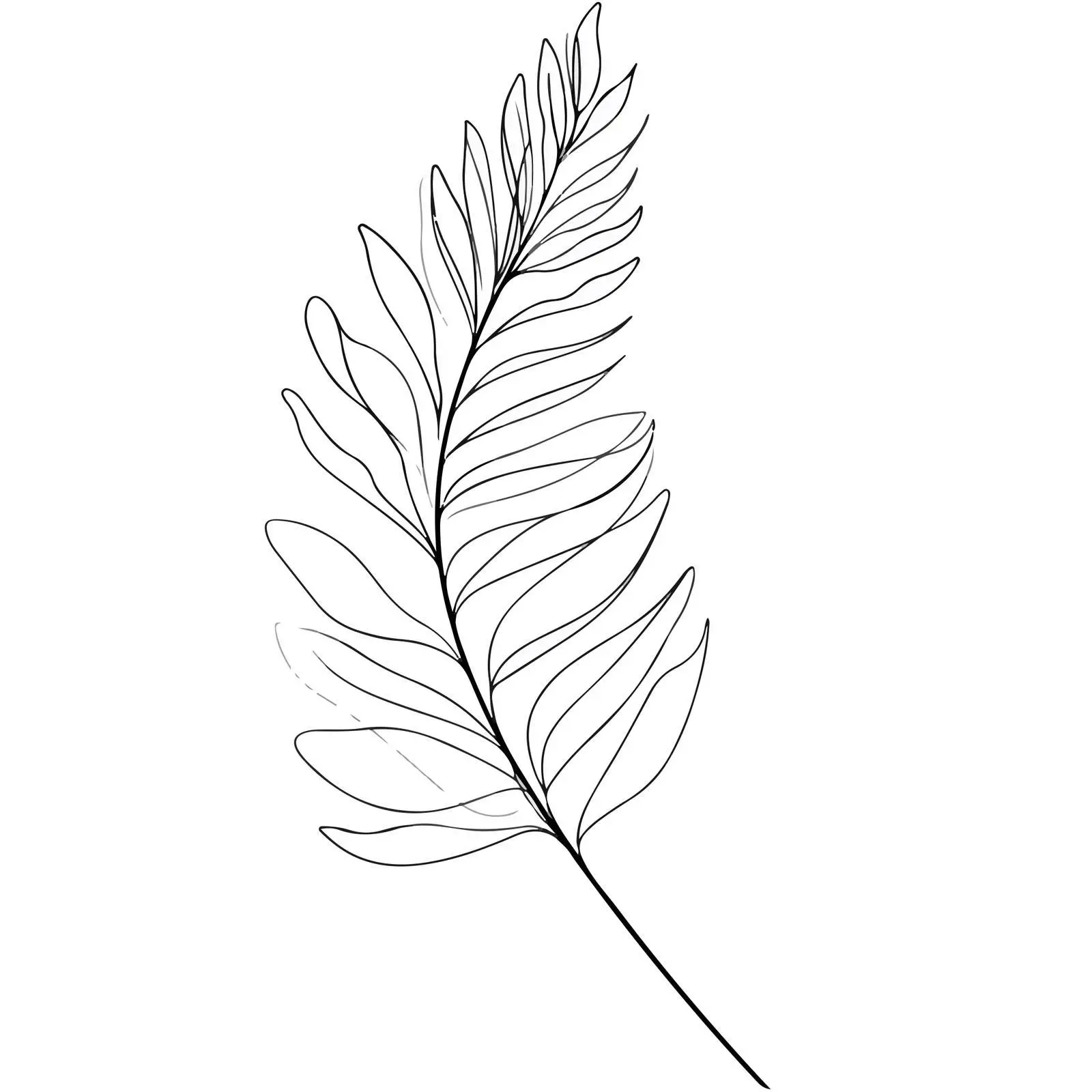 Minimal Fern Leaf Line Art Vector — free download from Dotvec