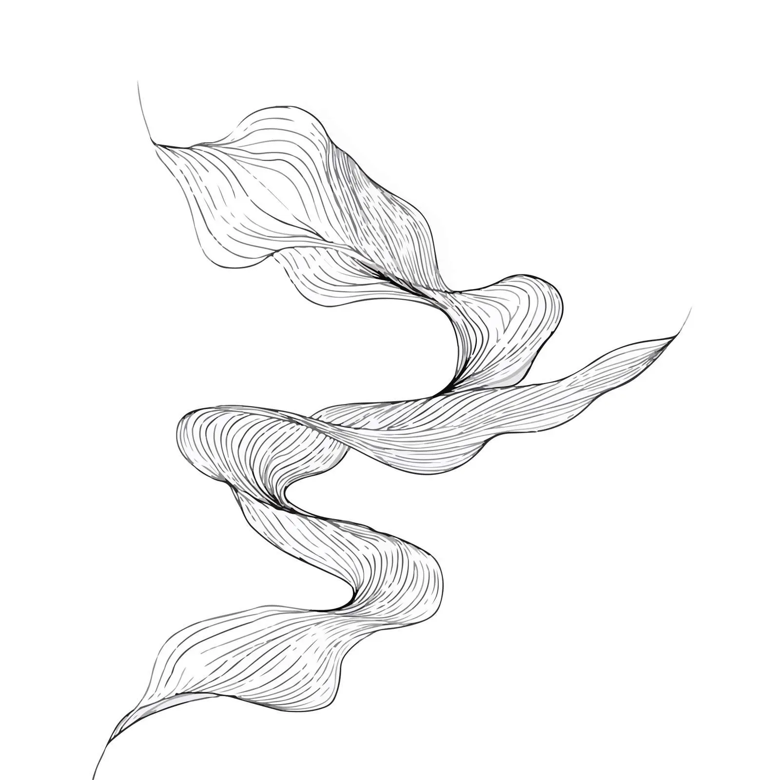 Elegant Flowing Curved Line Art — free download from Dotvec