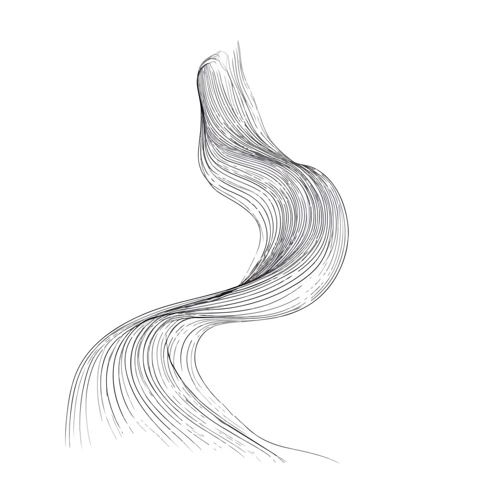 Elegant Flowing Curved Line Art — free download from Dotvec