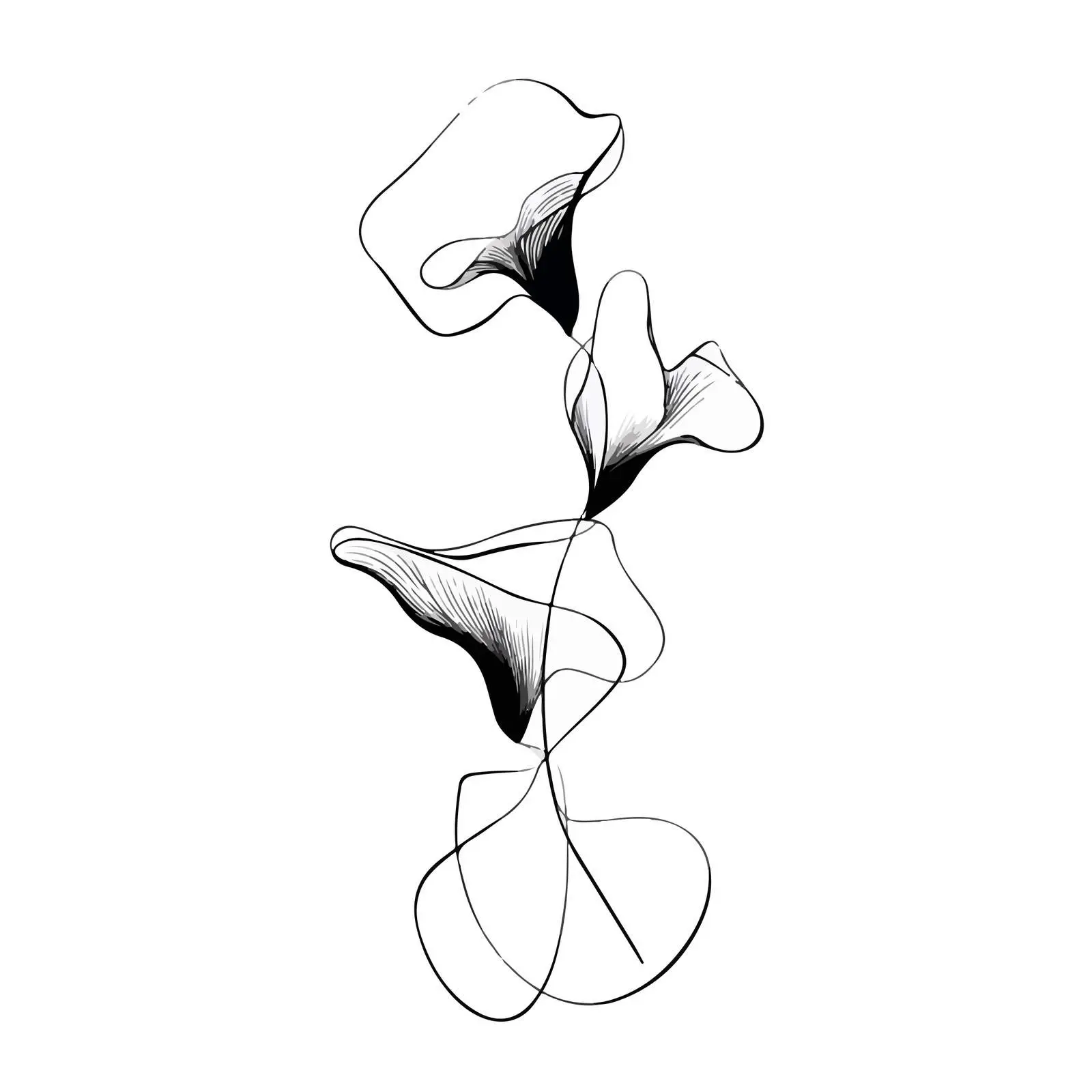 Organic Fluid Line Art — free download from Dotvec