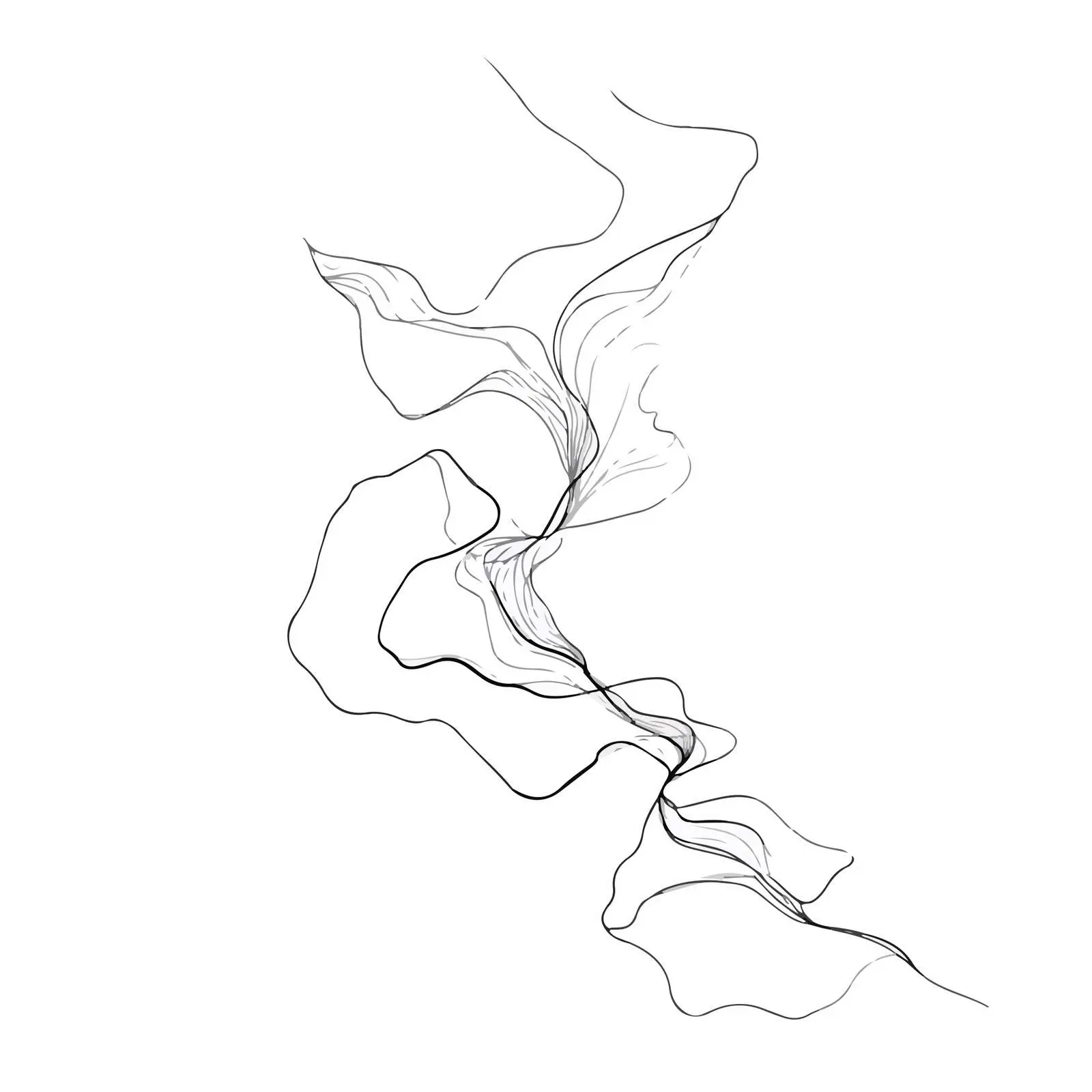 Fluid Organic Shapes Line Art — free download from Dotvec