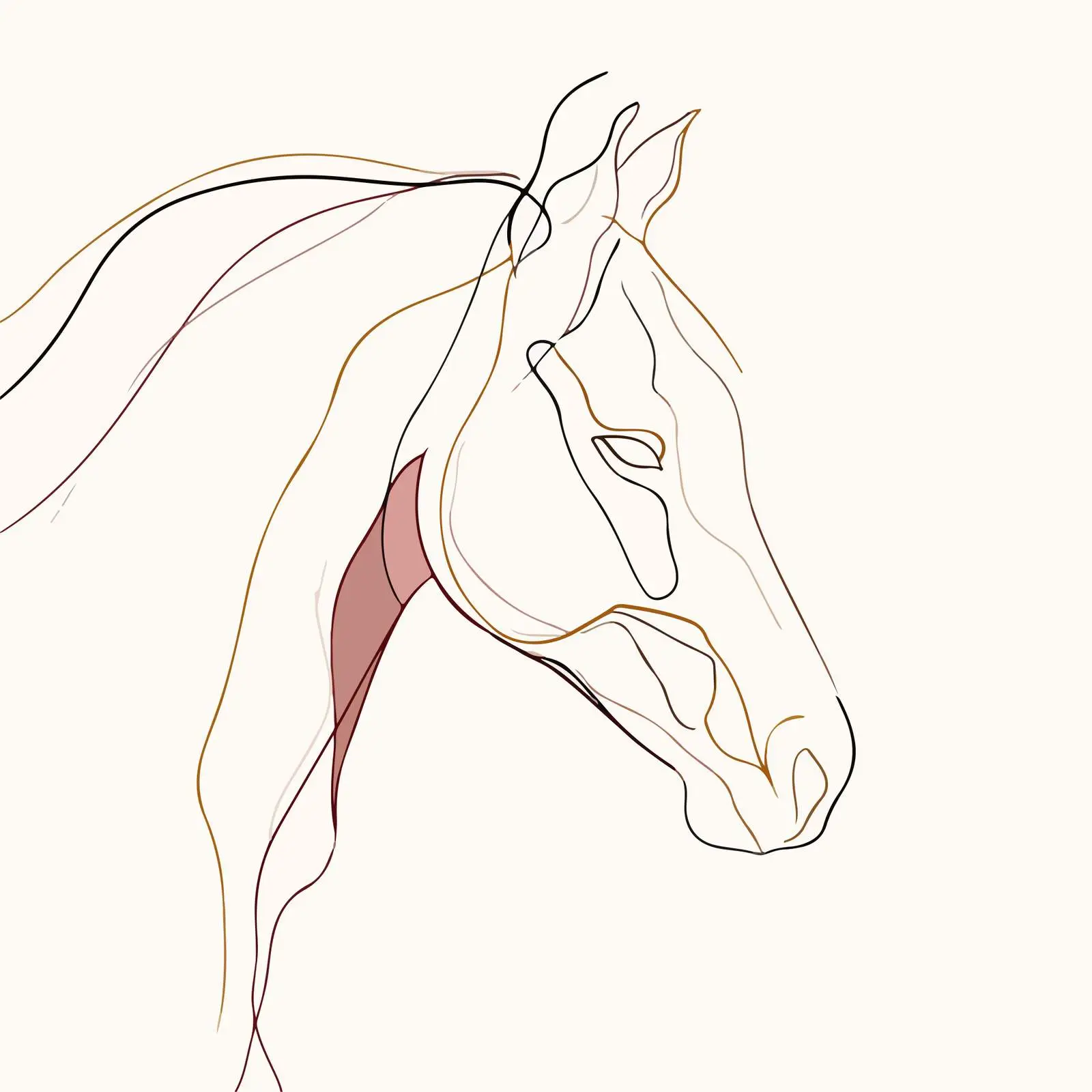 Elegant Horse Head Line Art — free download from Dotvec