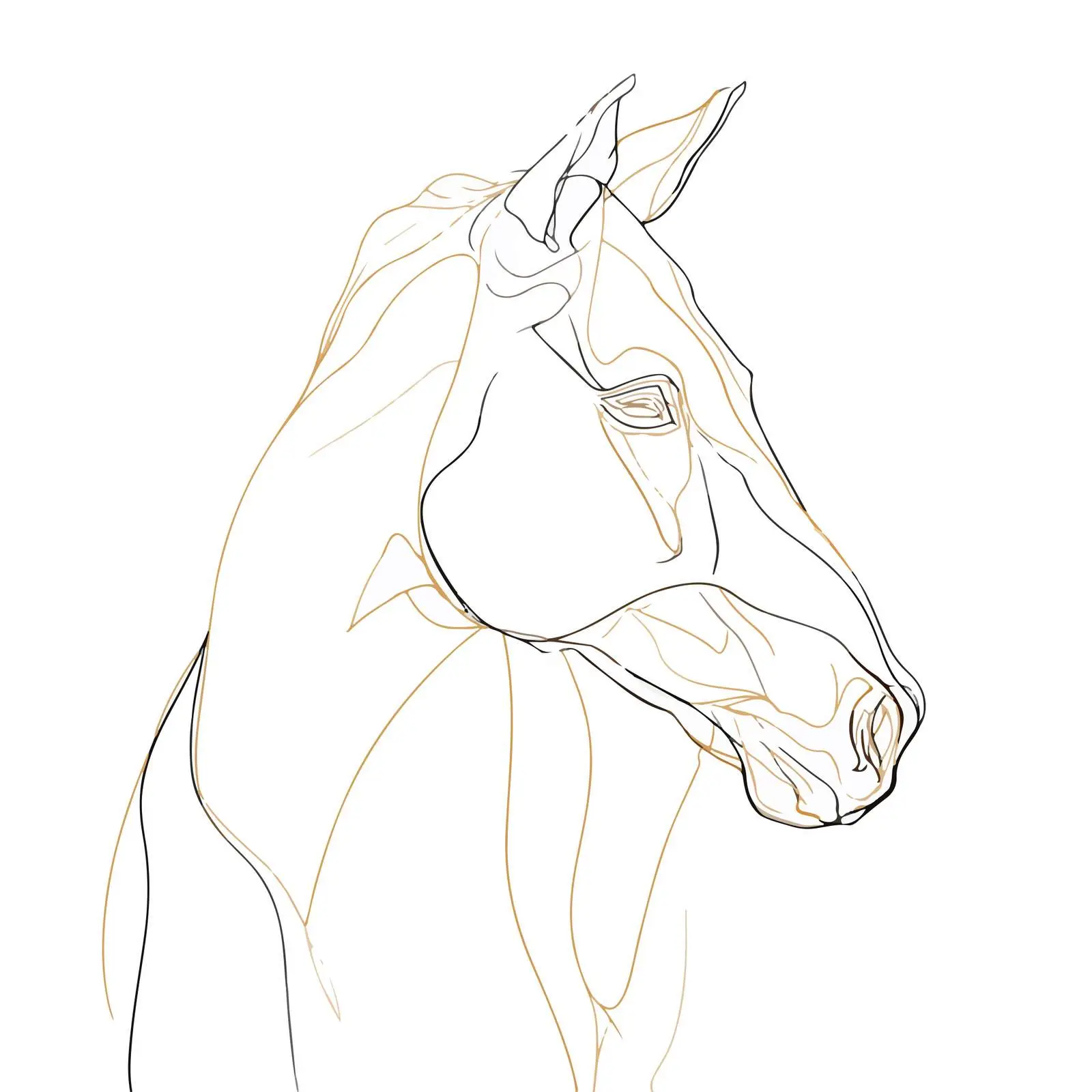 Elegant Horse Head Line Drawing — free download from Dotvec