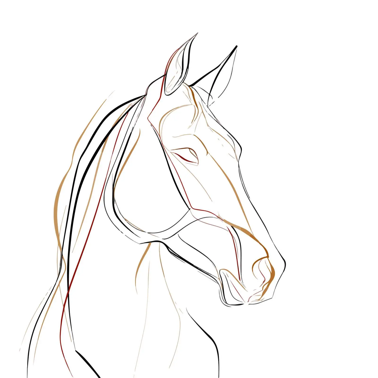 Elegant Horse Head Line Art — free download from Dotvec