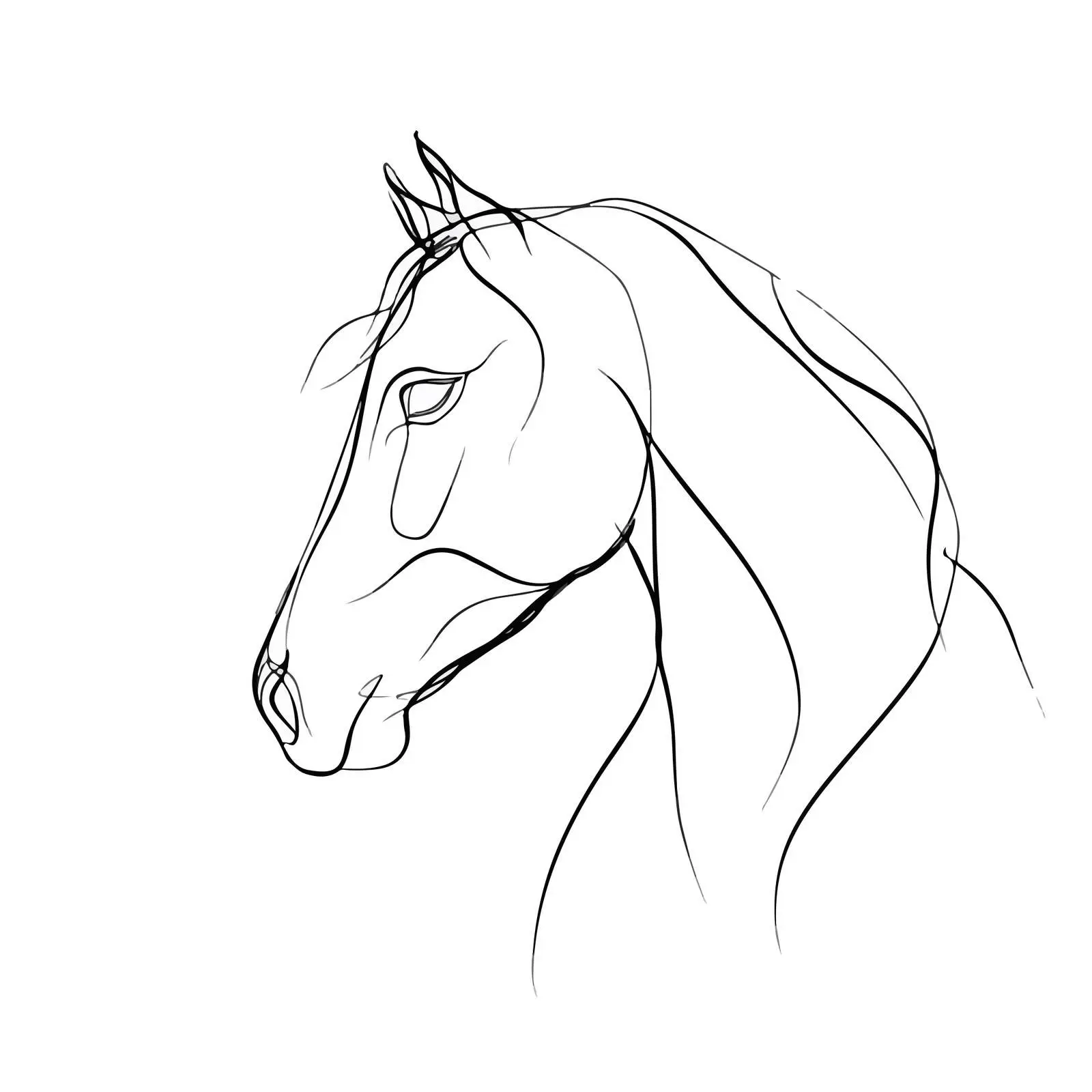 Elegant Horse Head Outline Illustration — free download from Dotvec