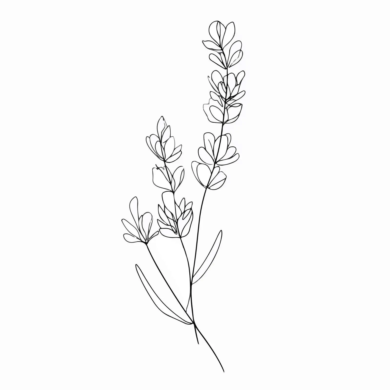 Elegant Lavender Line Art — free download from Dotvec