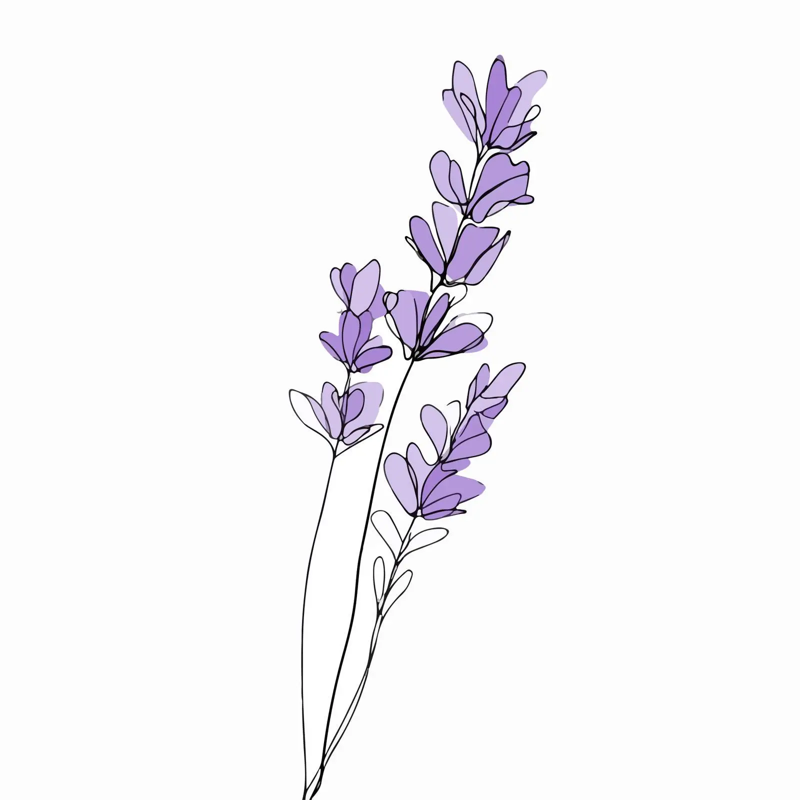 Elegant Lavender Line Art Illustration — free download from Dotvec