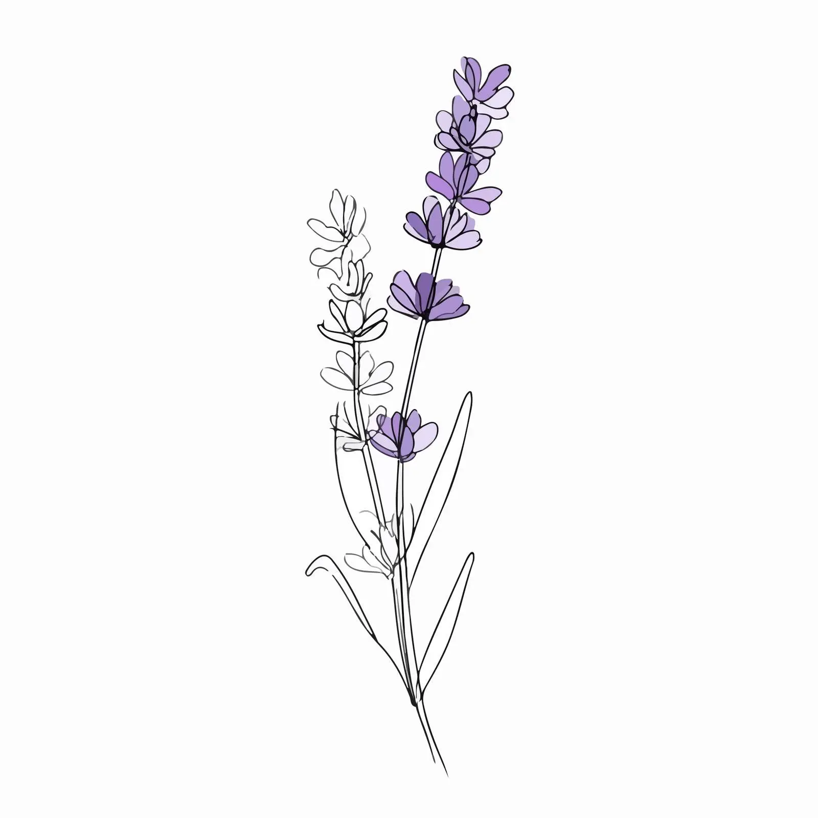Elegant Lavender Branch Line Art — free download from Dotvec