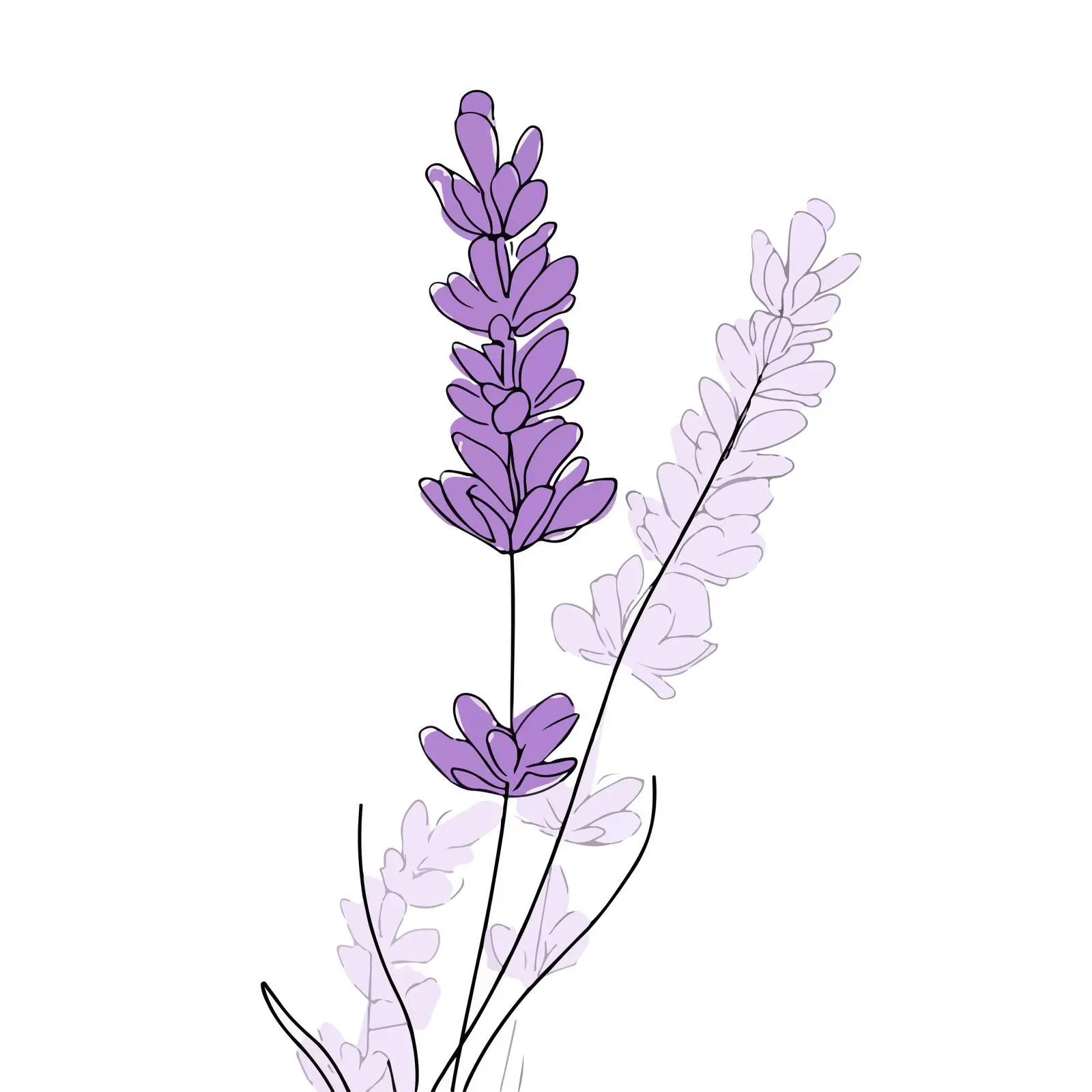 Lavender Continuous Line Art — free download from Dotvec