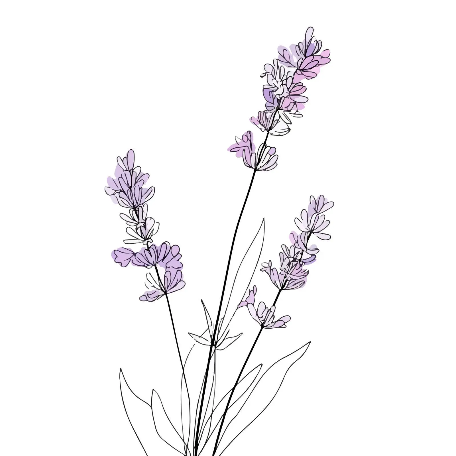 Lavender Branch Line Art — free download from Dotvec