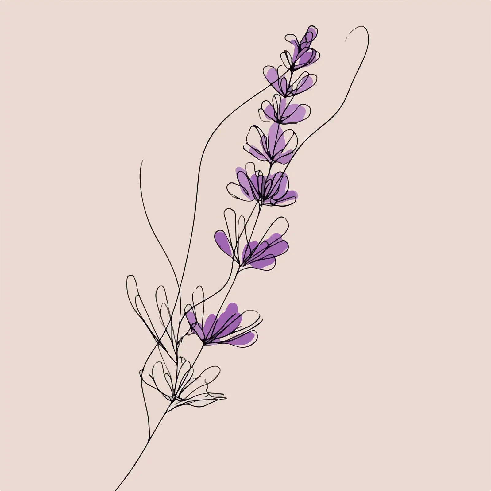 Elegant Lavender Line Art Illustration — free download from Dotvec