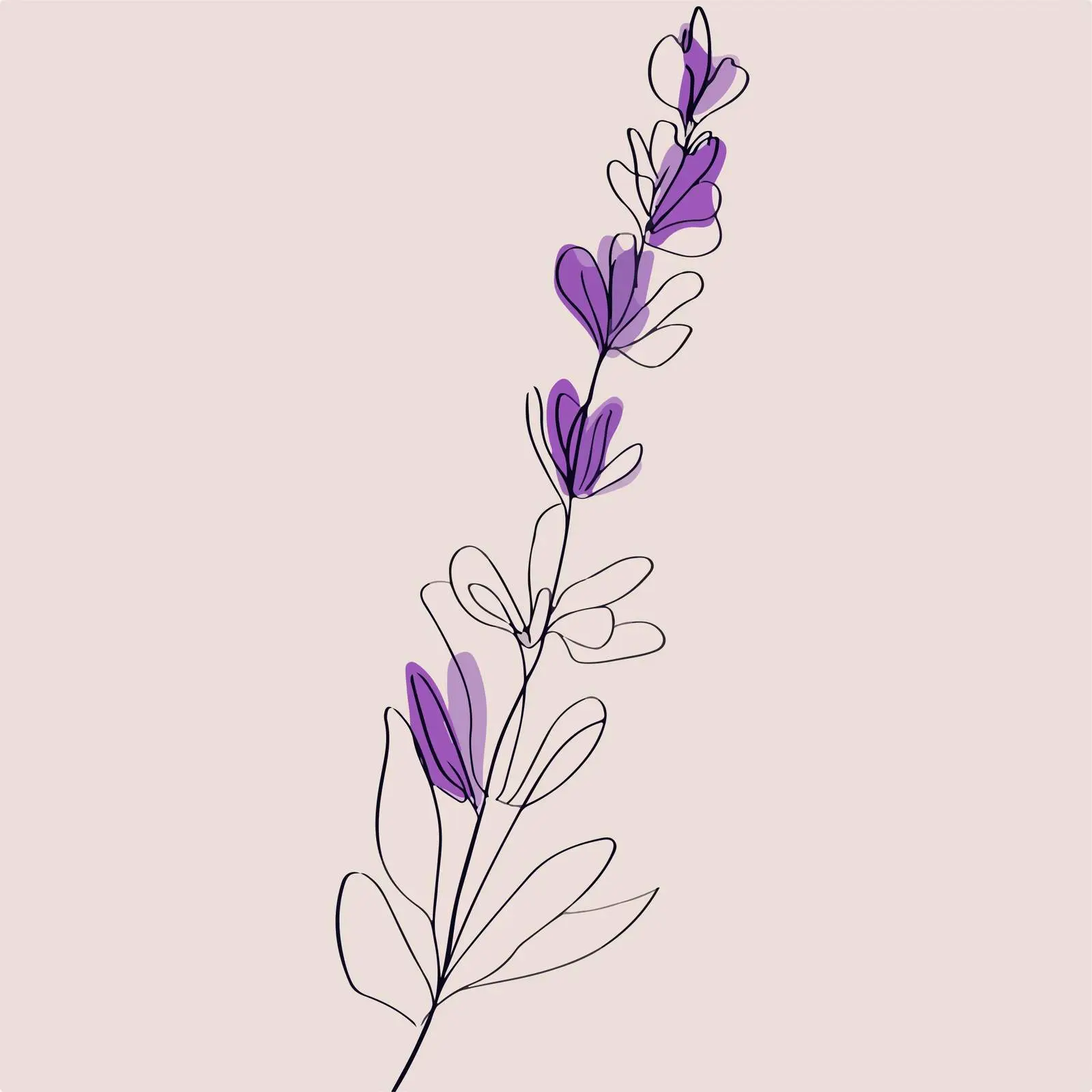 Minimal Lavender Line Art Illustration — free download from Dotvec