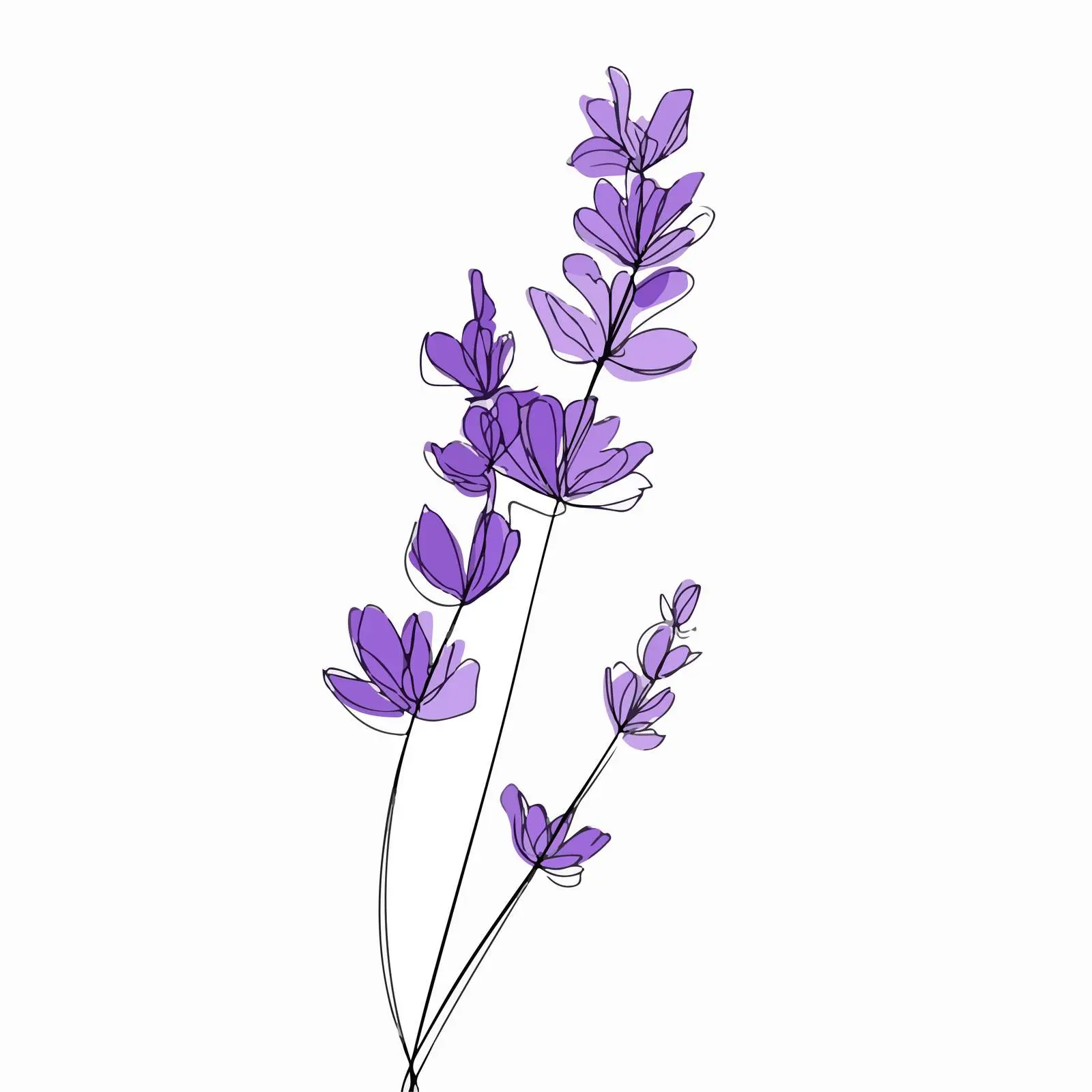 Elegant Lavender Line Art Illustration — free download from Dotvec