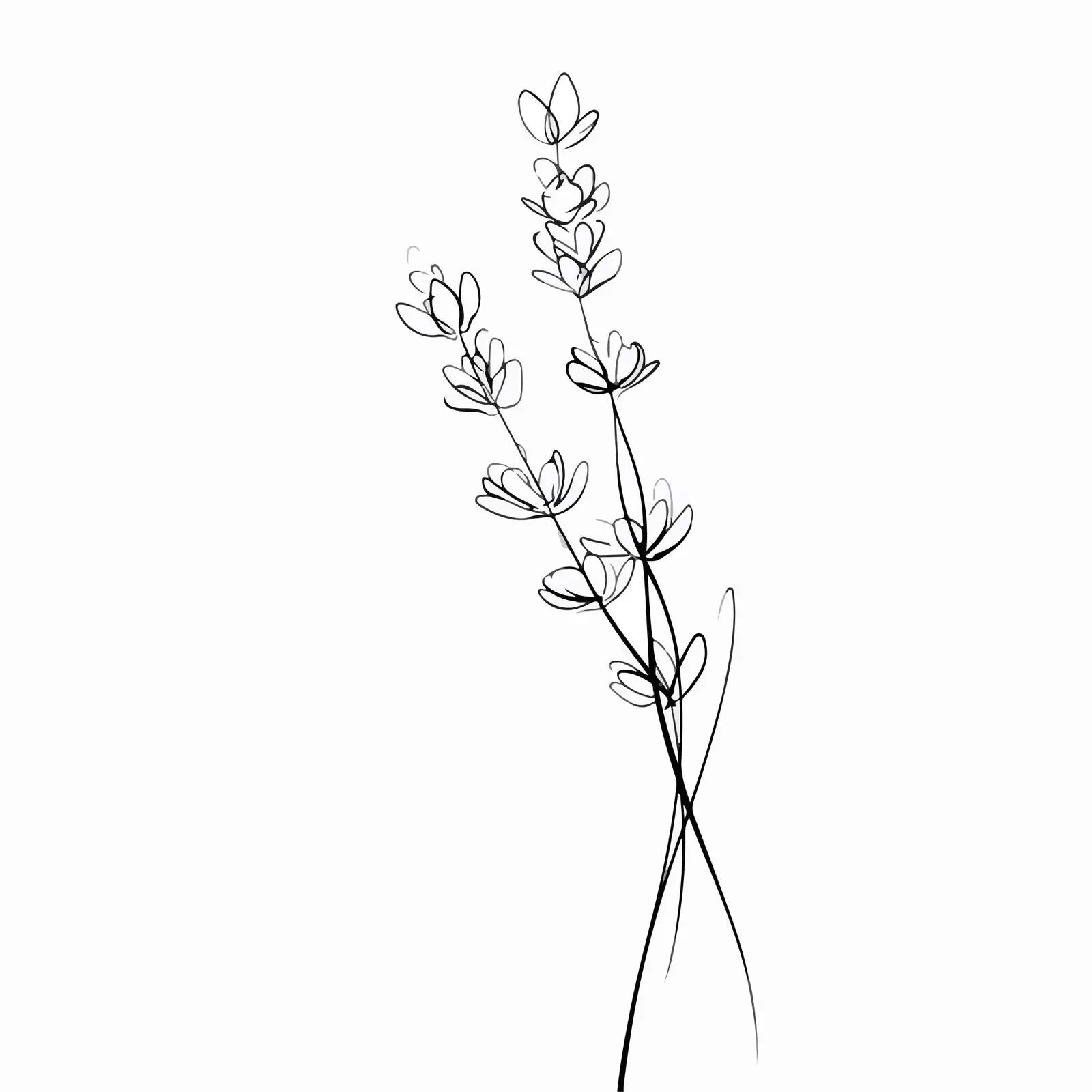 Elegant Lavender Branch Line Art — free download from Dotvec