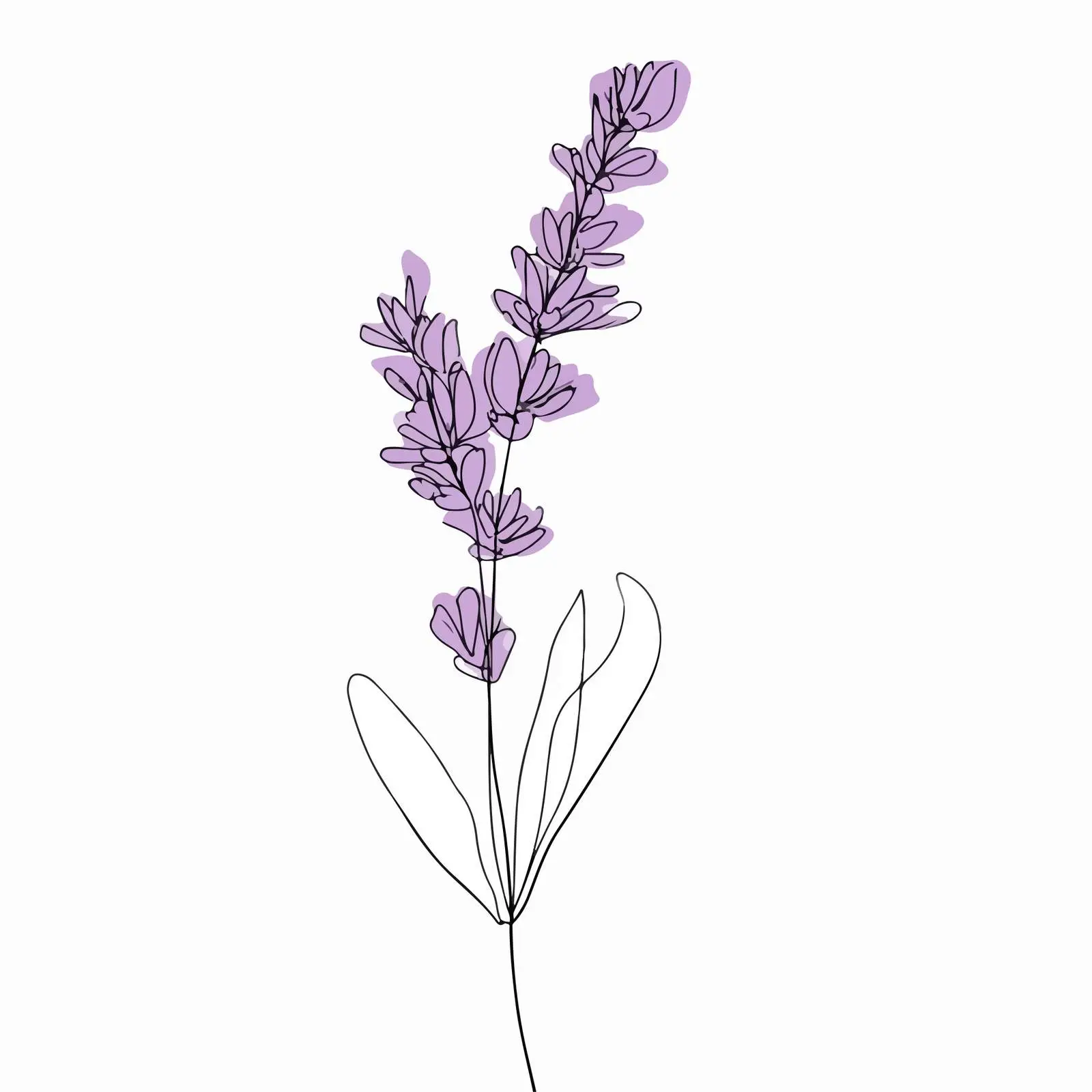 Elegant Lavender Line Art Illustration — free download from Dotvec