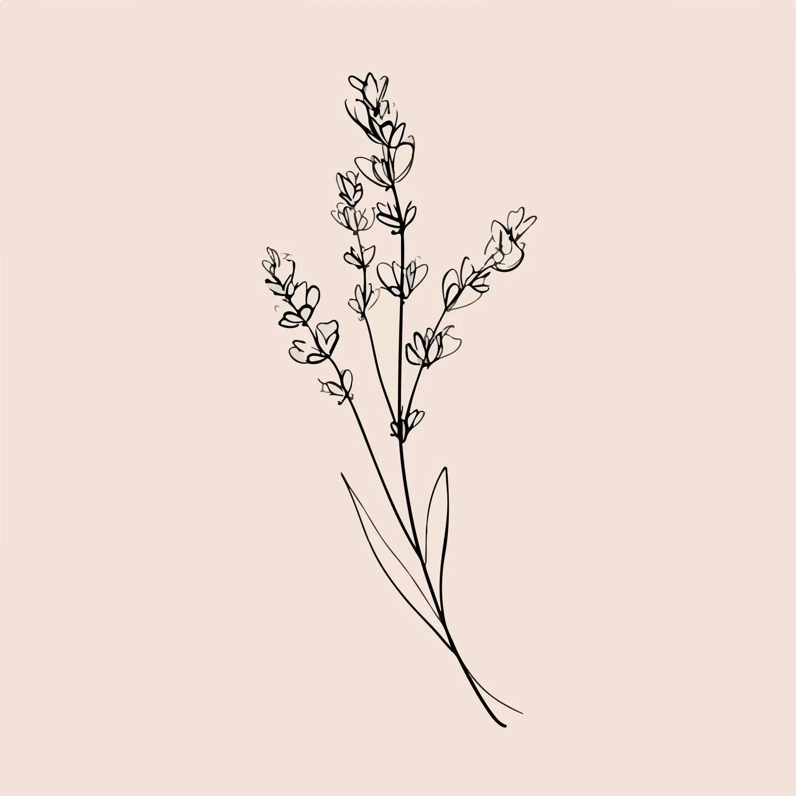 Elegant Lavender Line Art Illustration — free download from Dotvec