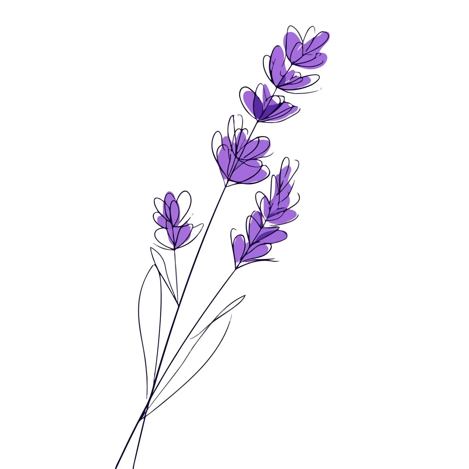 Minimal Lavender Line Art Illustration — free download from Dotvec