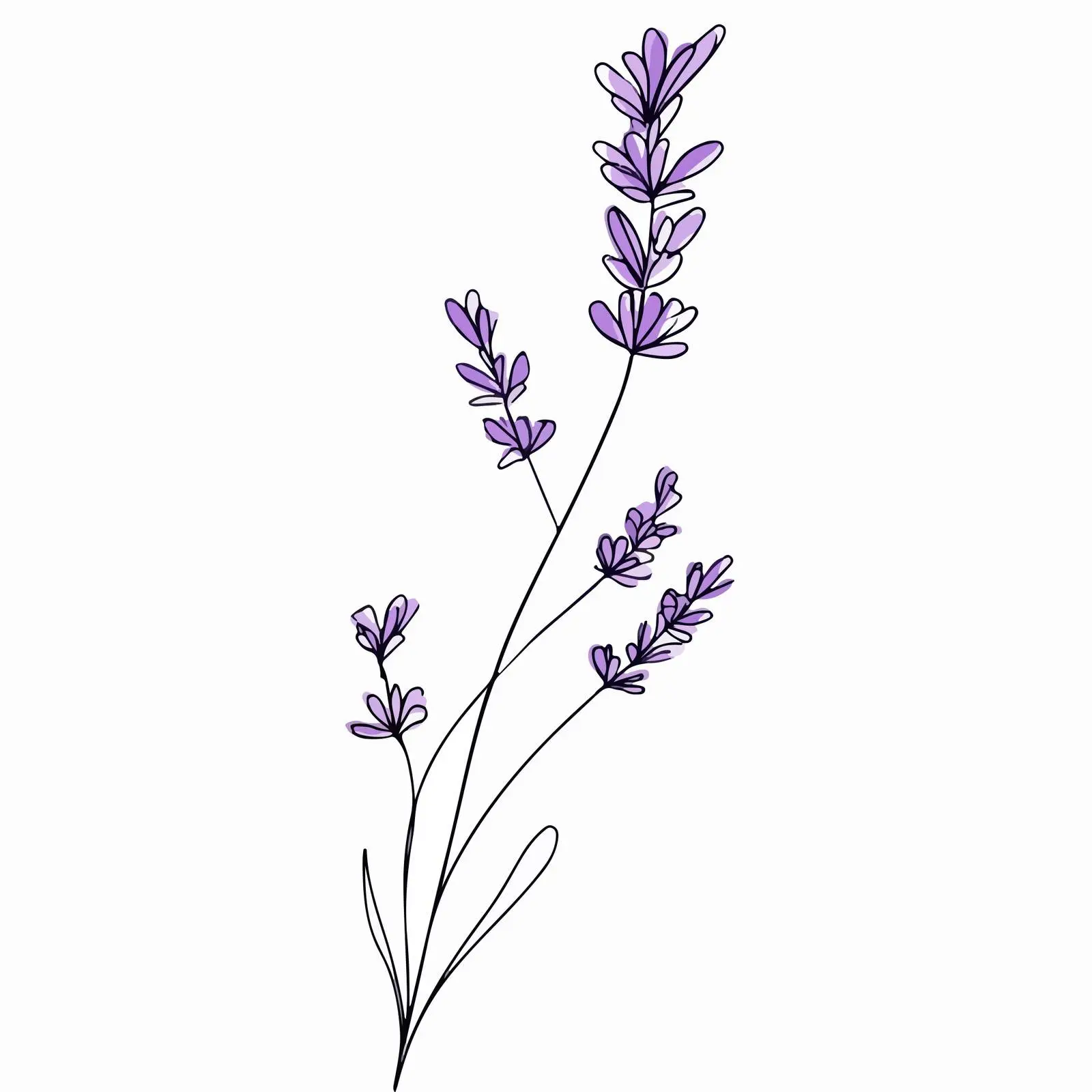 Lavender Branch Line Art Illustration — free download from Dotvec