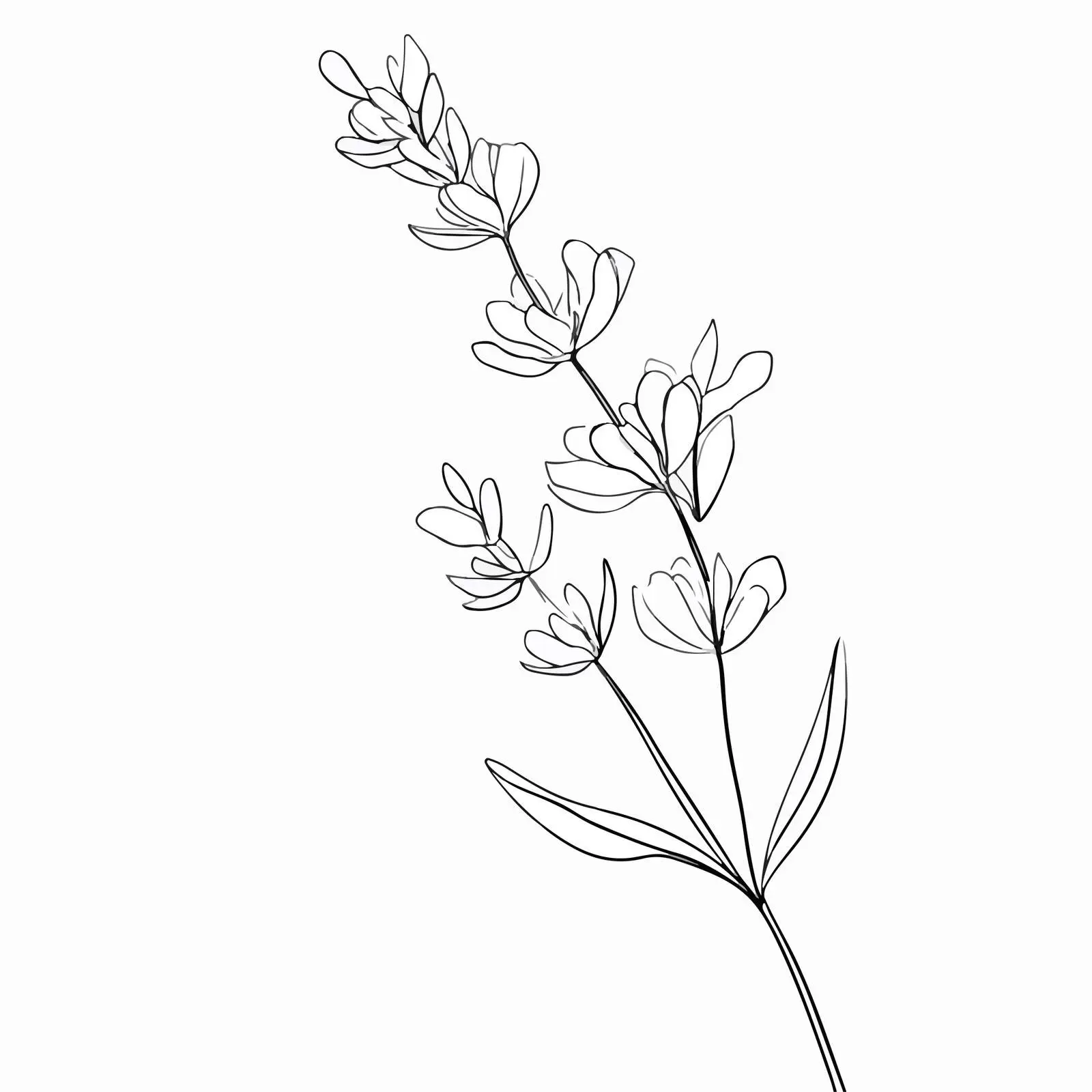 Minimal Lavender Line Art Illustration — free download from Dotvec