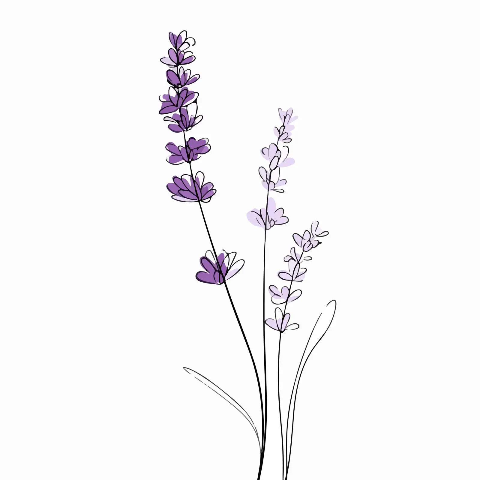 Elegant Lavender Branch Line Art — free download from Dotvec