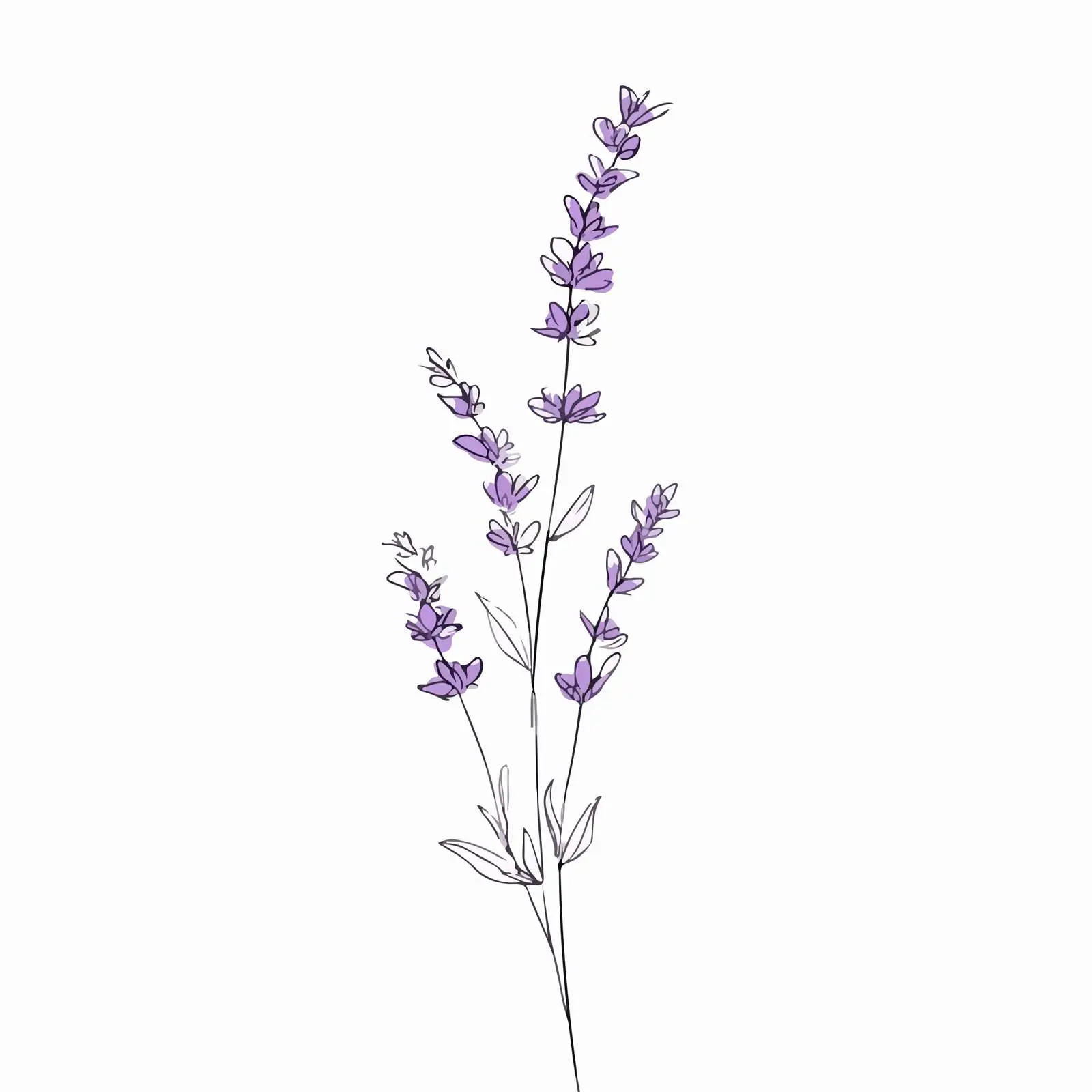Lavender Branch Line Art — free download from Dotvec