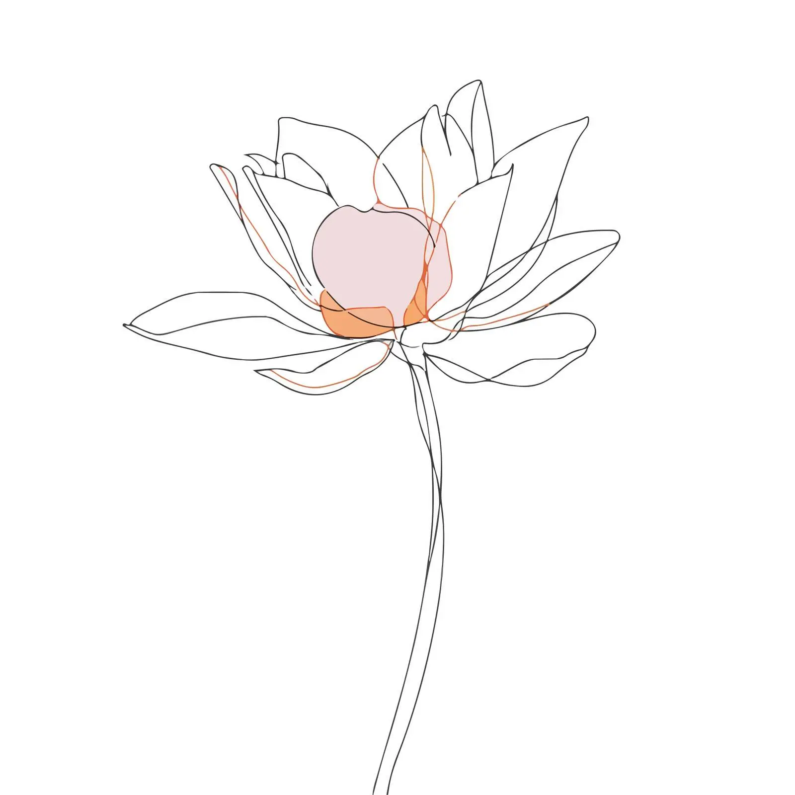 Lotus Flower Continuous Line Art — free download from Dotvec