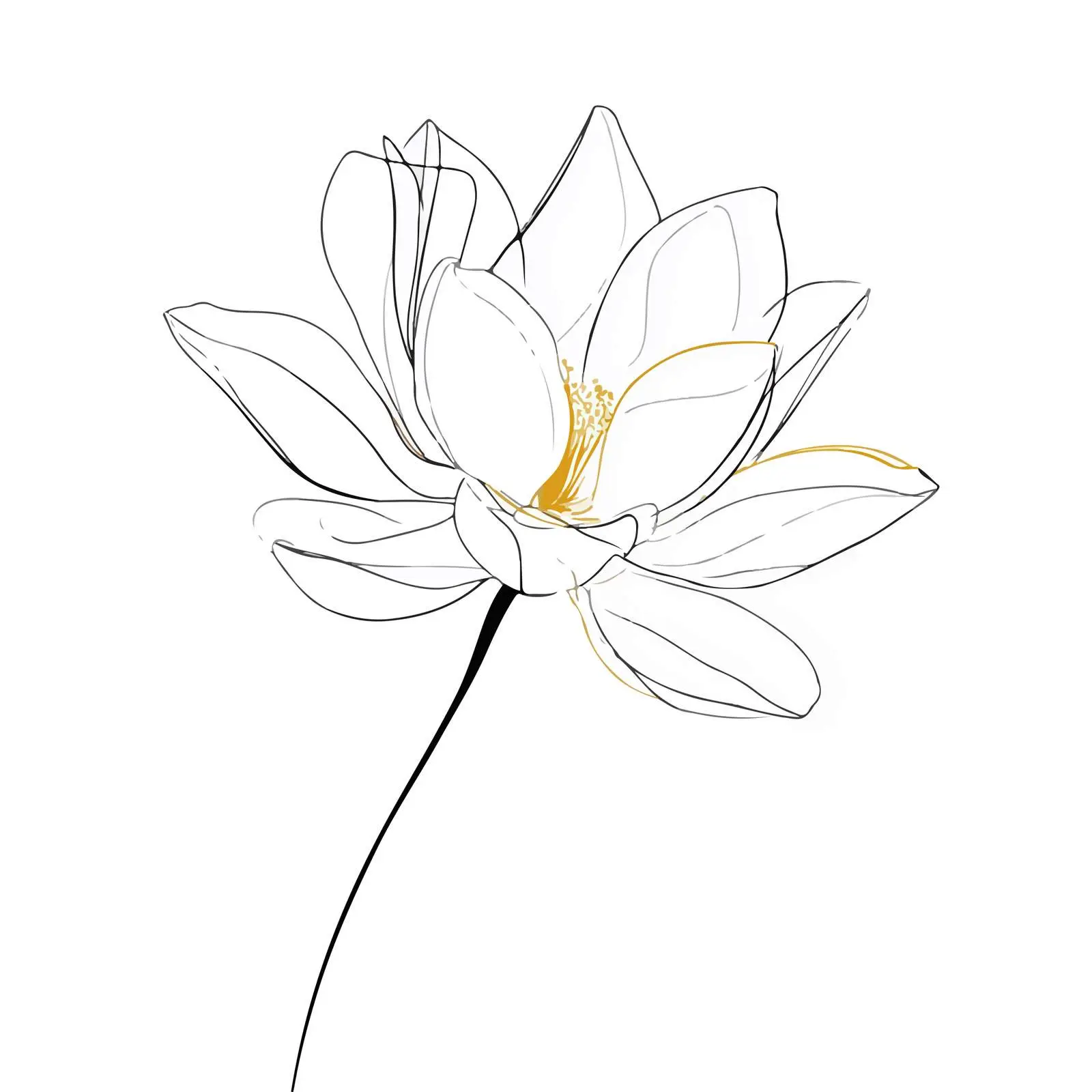 Lotus Flower Line Art Vector Illustration — free download from Dotvec