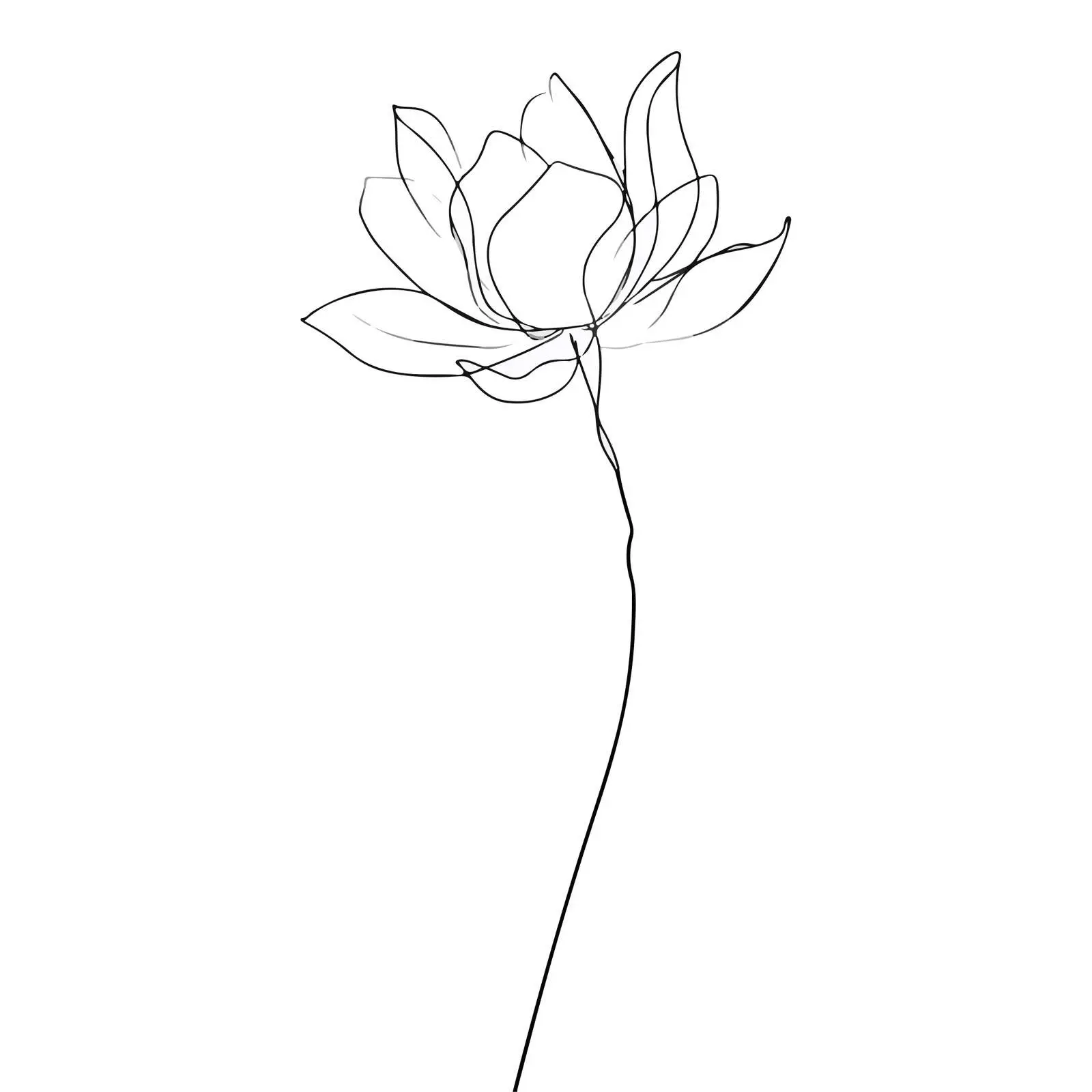 Minimal Lotus Flower Line Art — free download from Dotvec