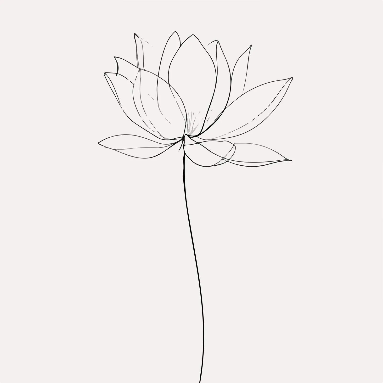 Lotus Flower Line Art Vector Illustration — free download from Dotvec