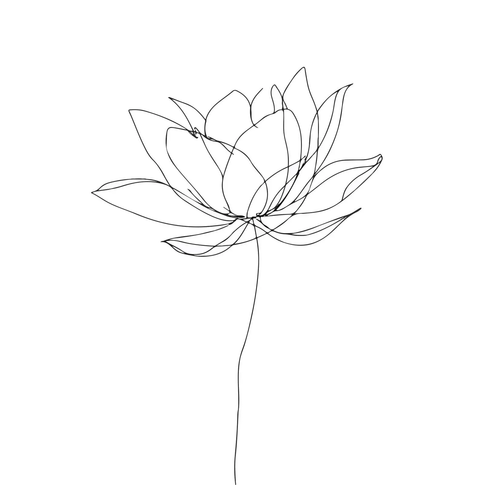 Elegant Lotus Flower Line Art — free download from Dotvec