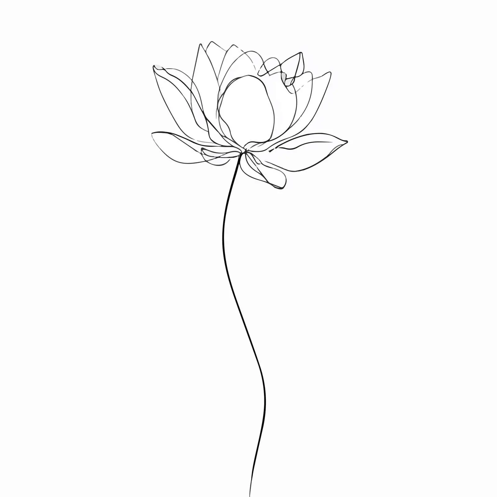 Lotus flower continuous line art flat — free download from Dotvec