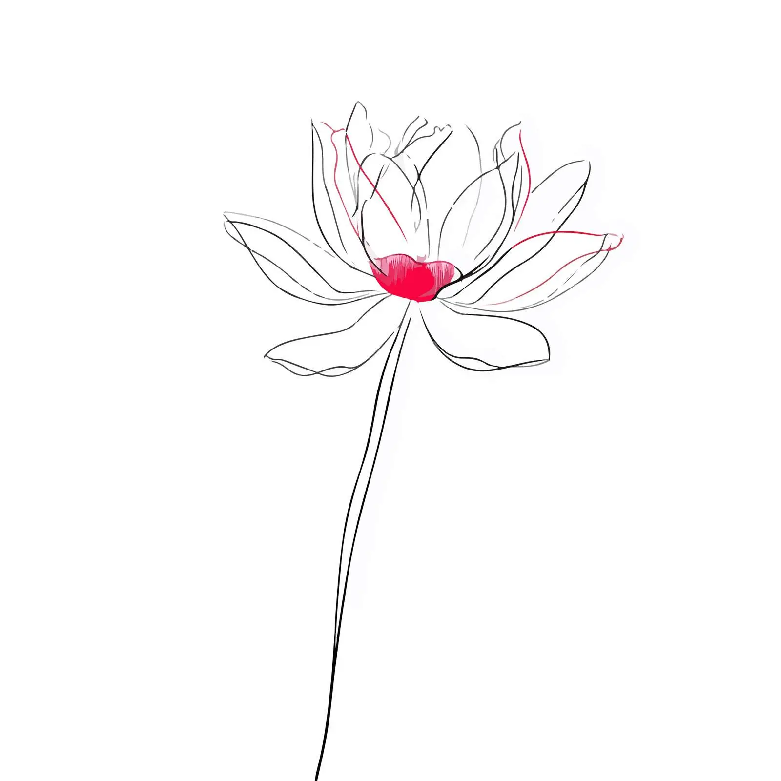 Lotus Flower Continuous Line Art Vector — free download from Dotvec