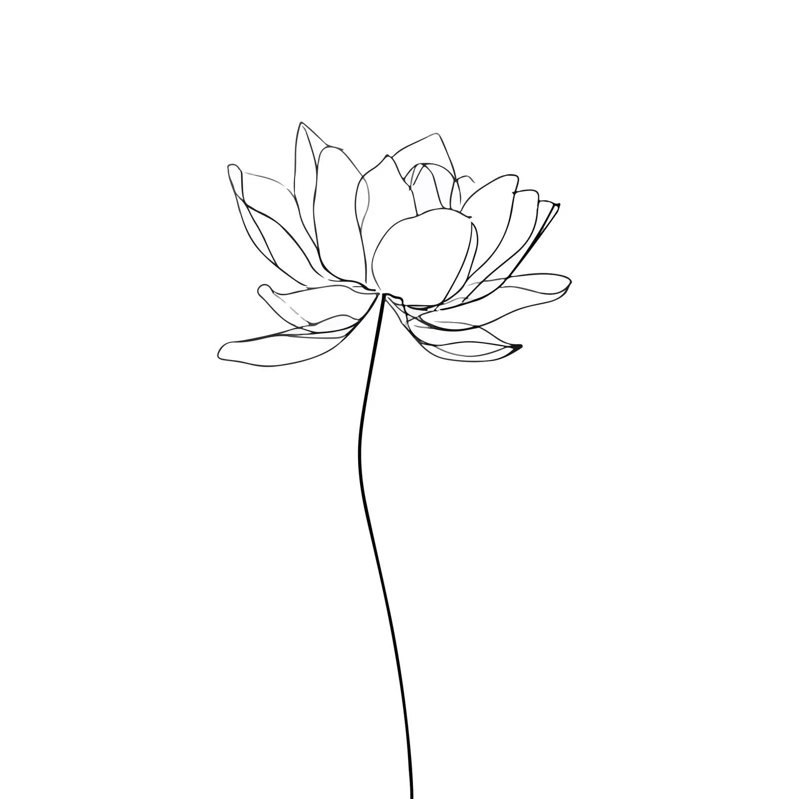 Lotus Flower Line Art Vector Illustration — free download from Dotvec