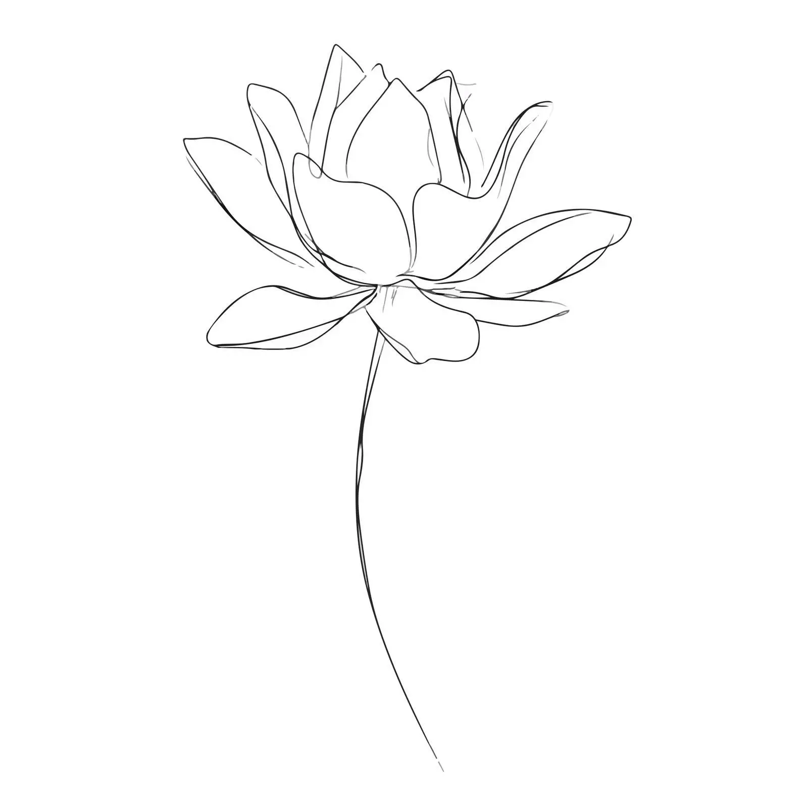 Minimal Lotus Flower Line Art — free download from Dotvec
