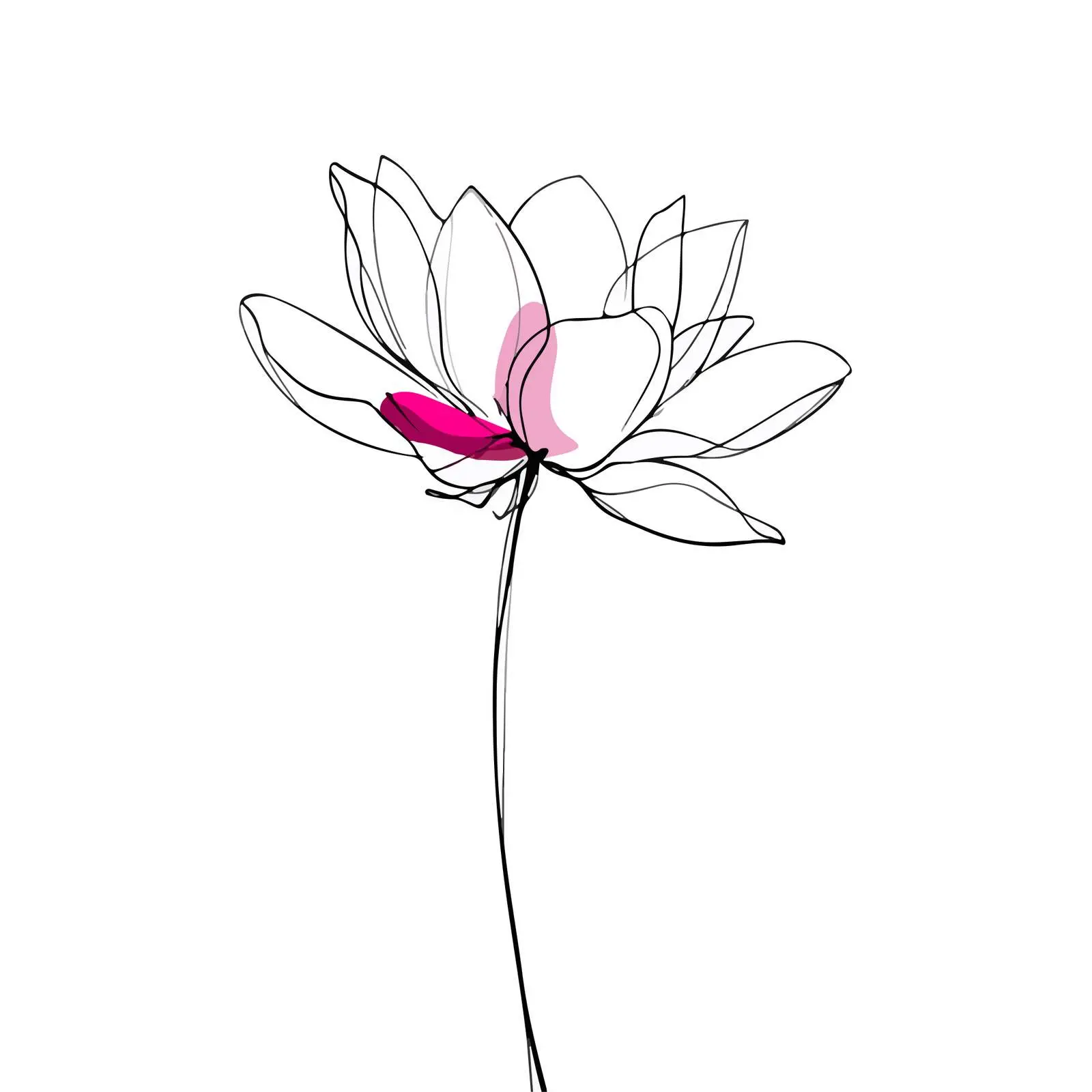 Minimal Lotus Flower Line Art — free download from Dotvec